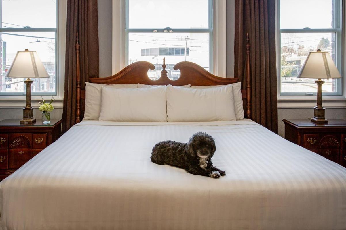 MarQueen Hotel - NEWLY RENOVATED photo 23