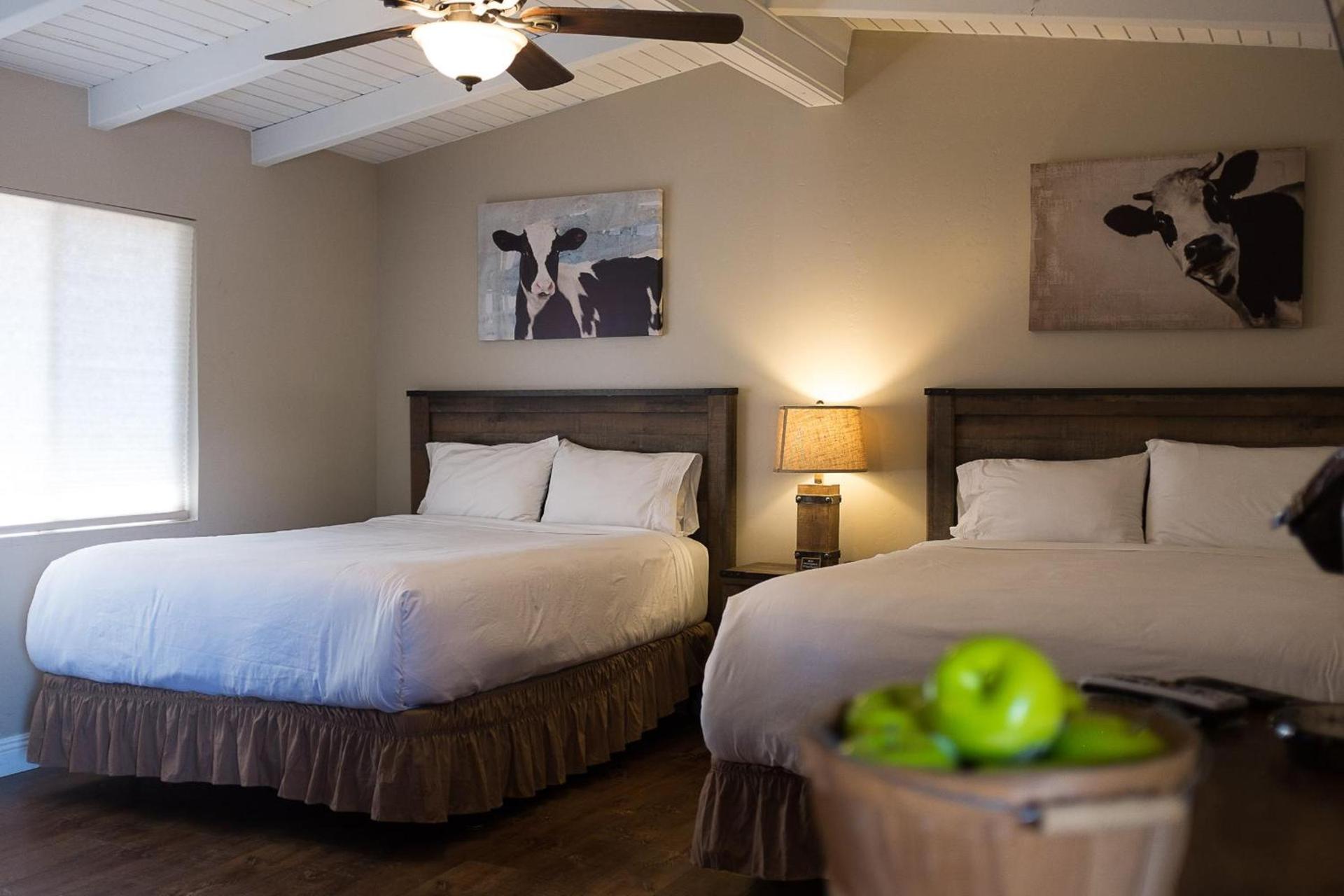 Apple Tree Inn photo 72