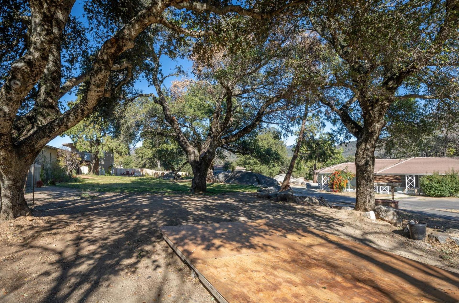 Apple Tree Inn photo 17