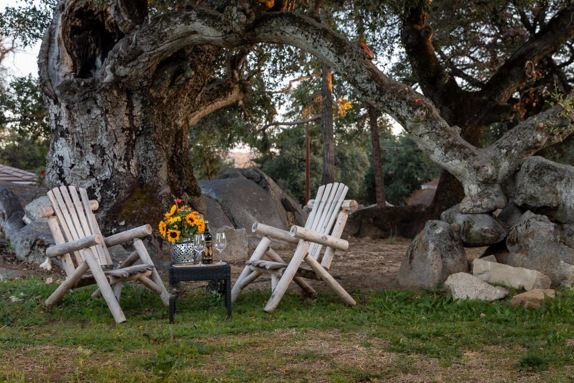 Apple Tree Inn photo 7