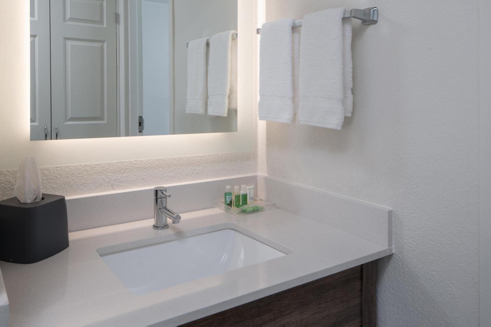 Holiday Inn Tampa Westshore - Airport Area by IHG photo 39