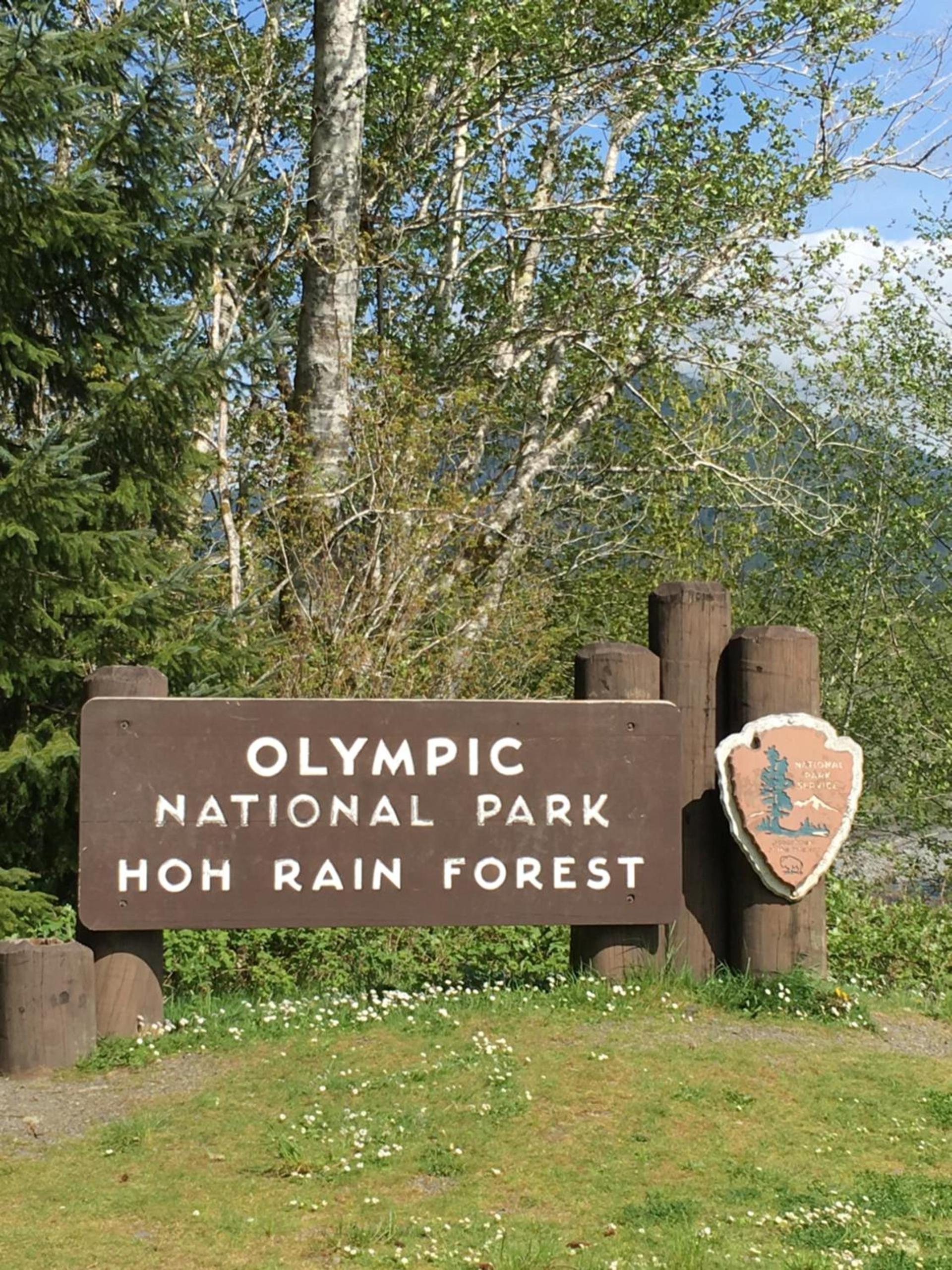 Hoh Valley Cabins photo 12