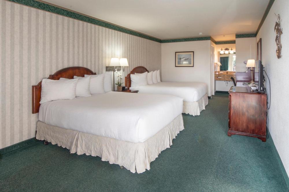 Emerald Dolphin Inn & Mini Golf photo 51