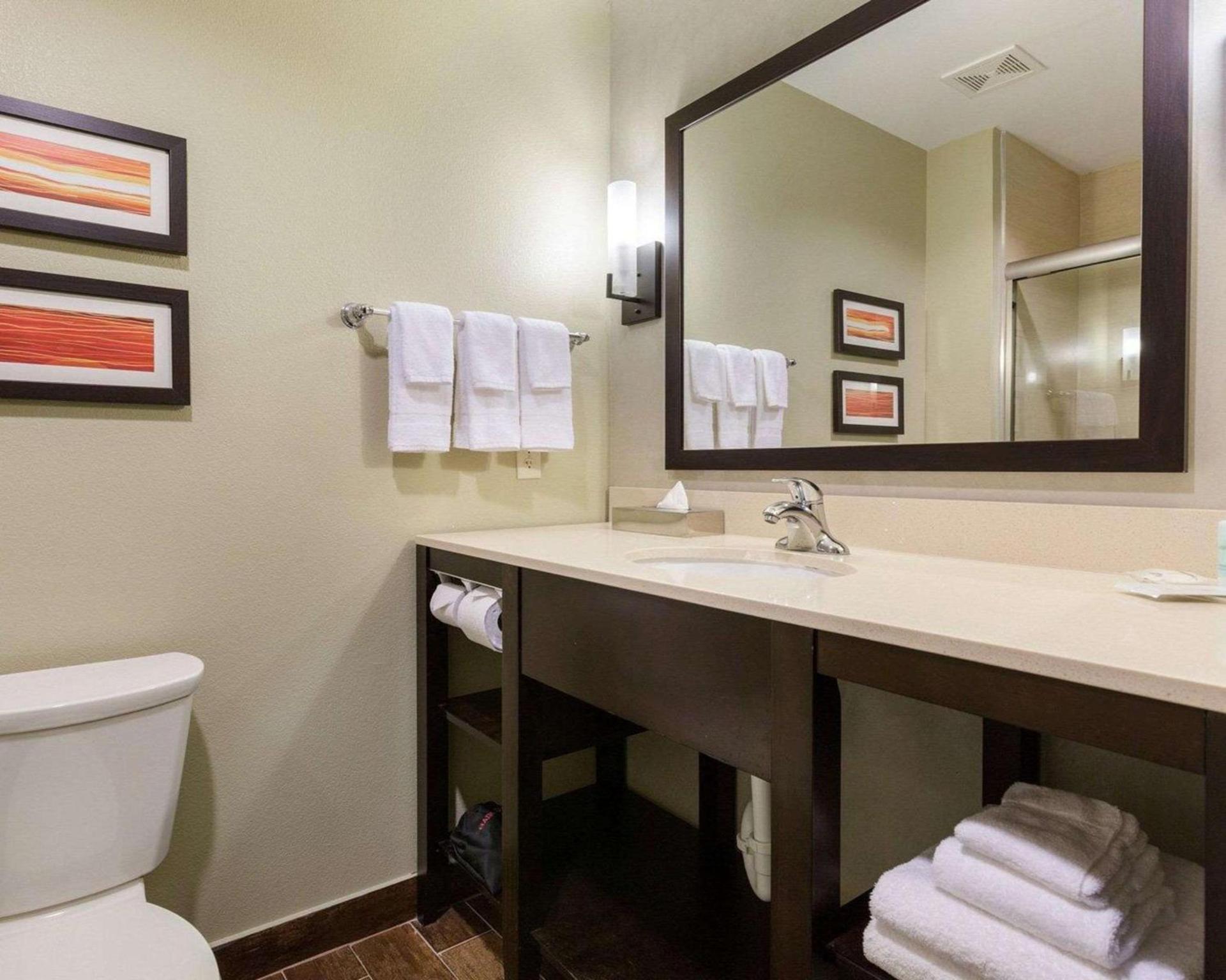 Comfort Suites near Westchase on Beltway 8 photo 12