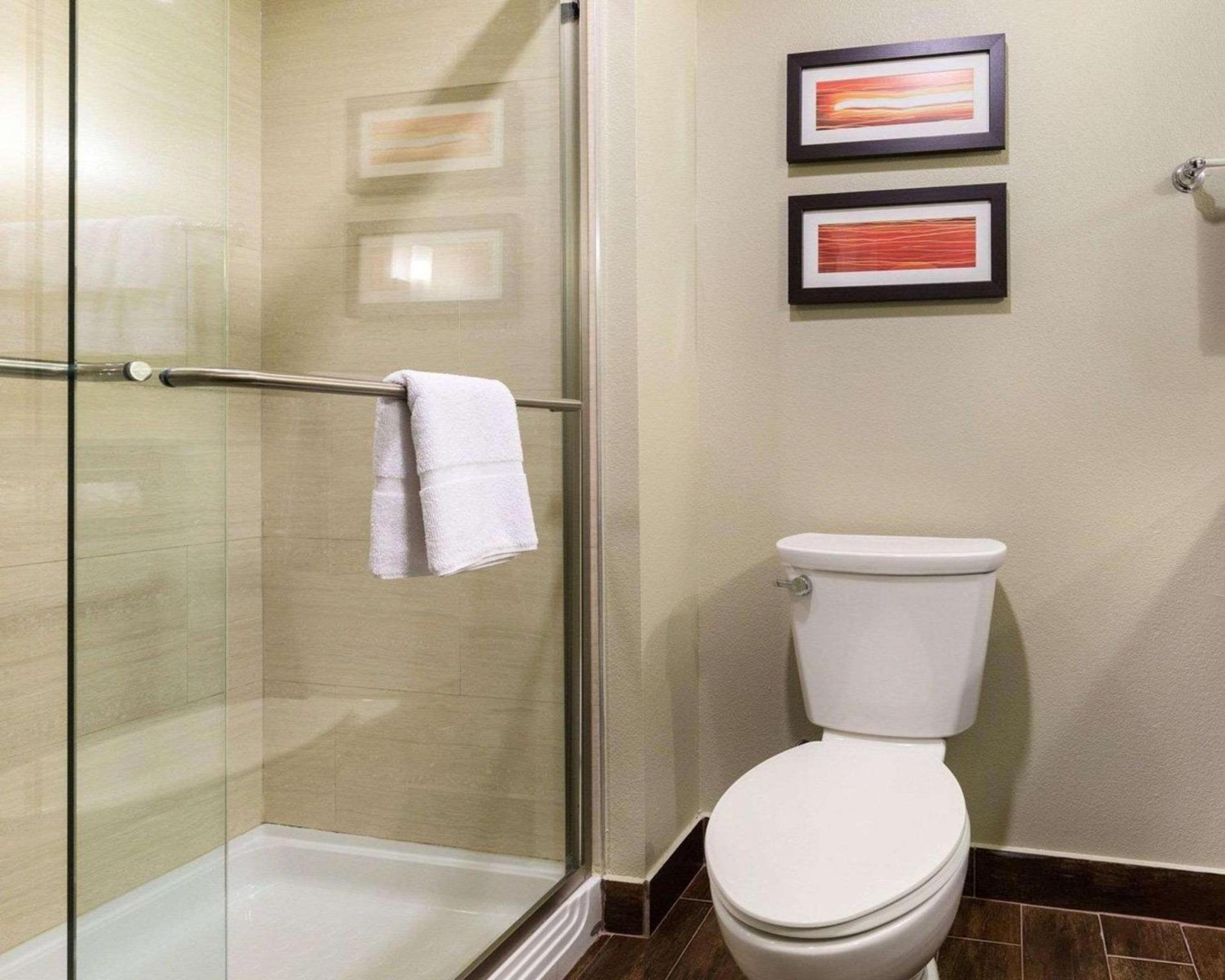 Comfort Suites near Westchase on Beltway 8 photo 13