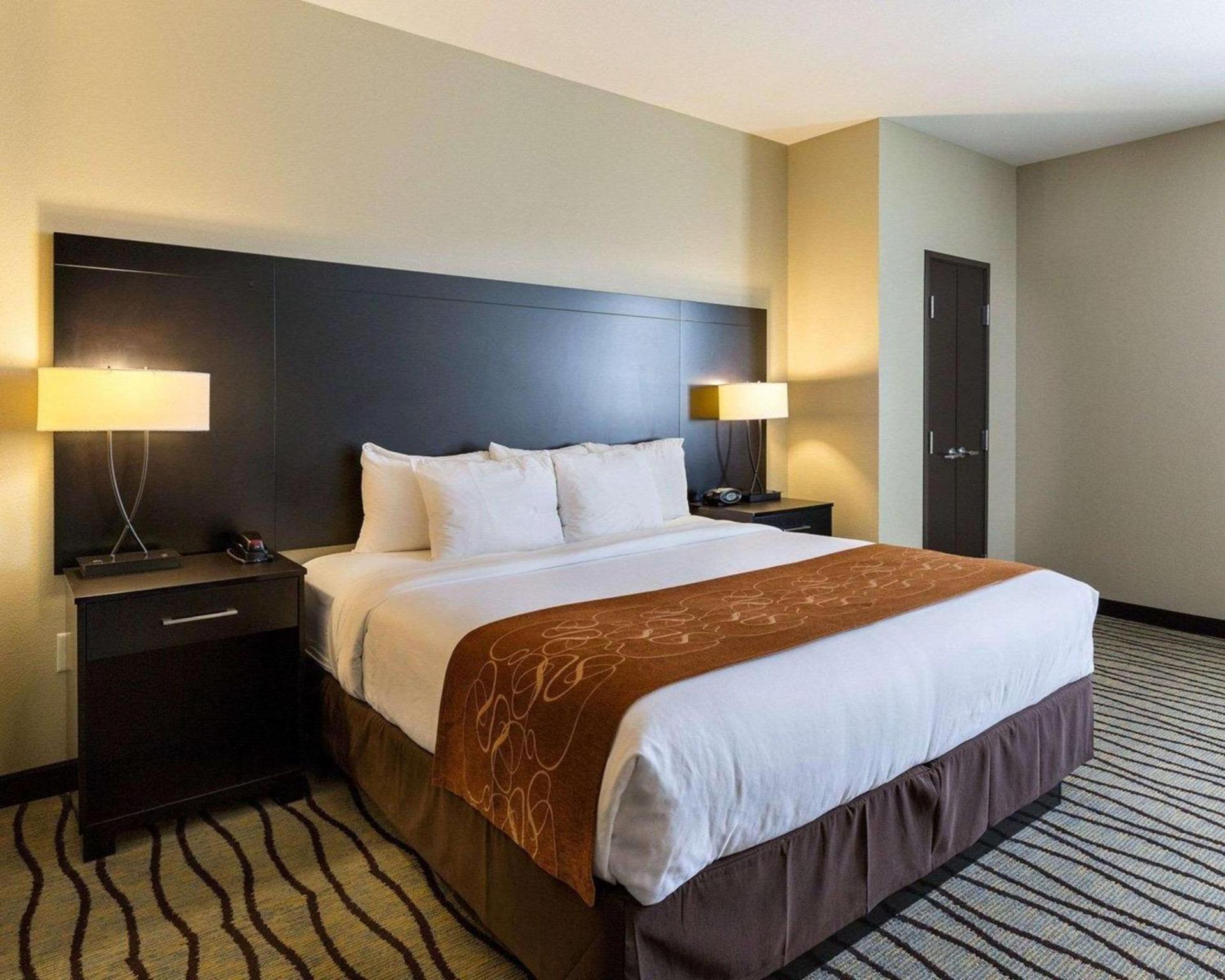 Comfort Suites near Westchase on Beltway 8 photo 19