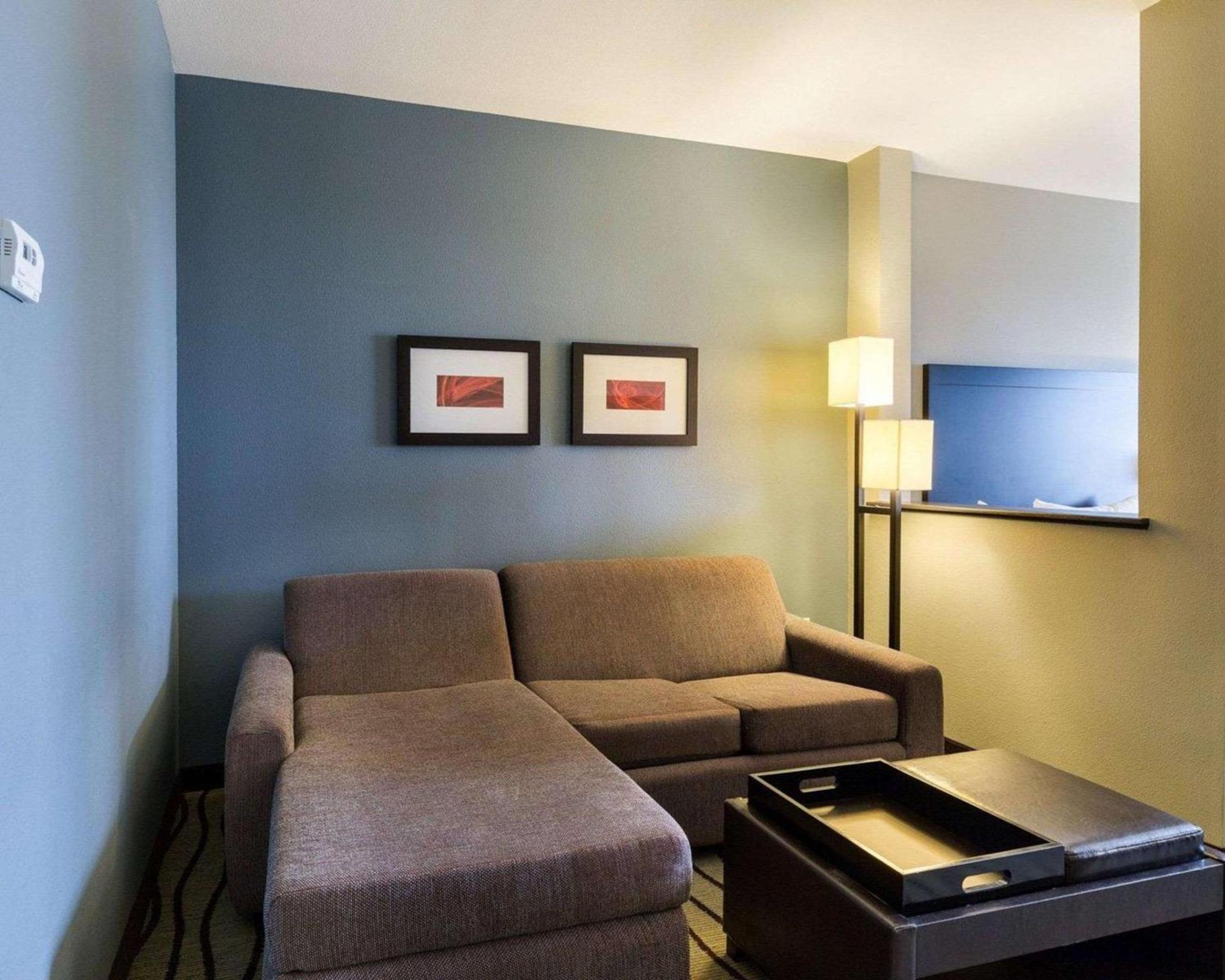 Comfort Suites near Westchase on Beltway 8 photo 22