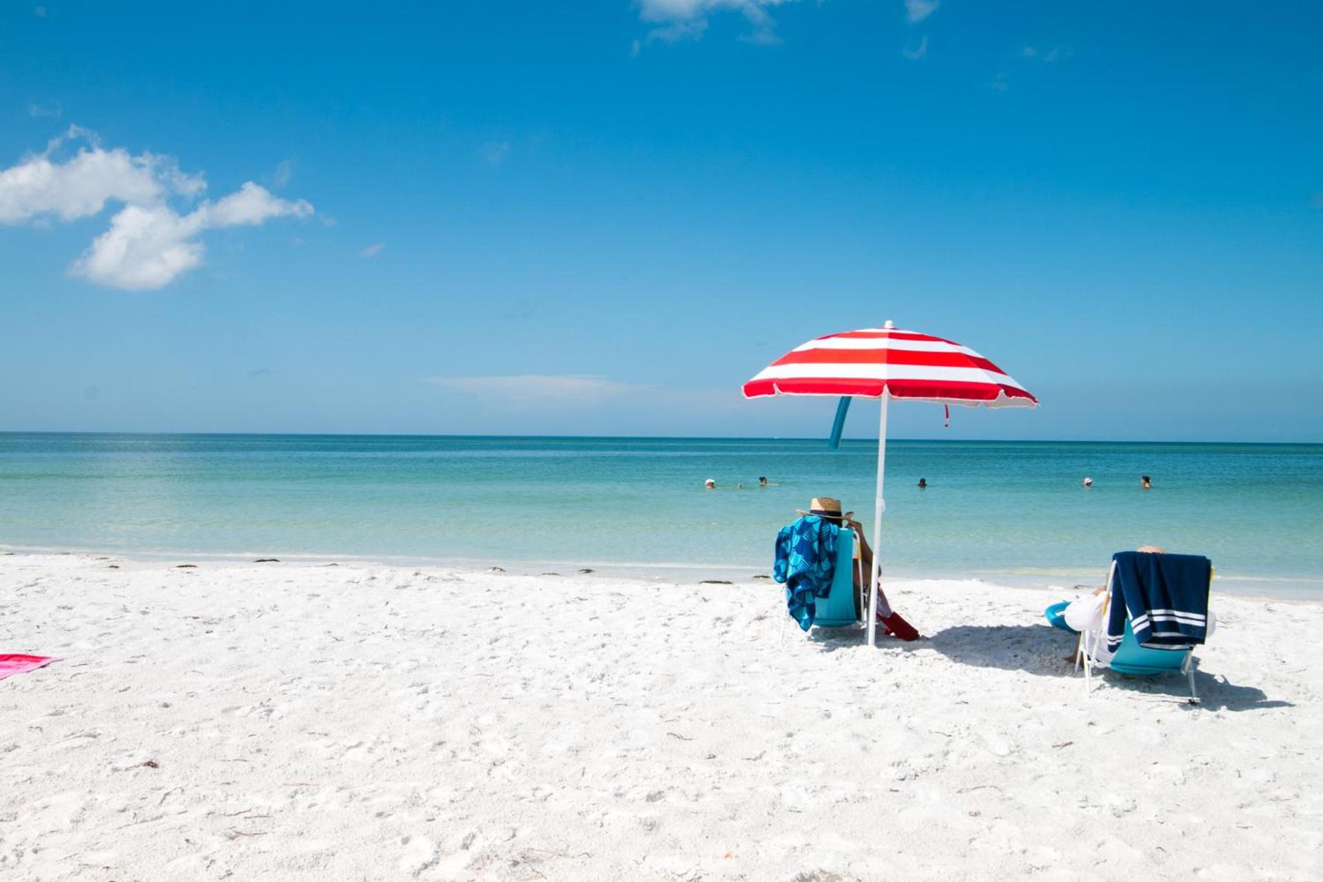 voco Sarasota by IHG photo 2