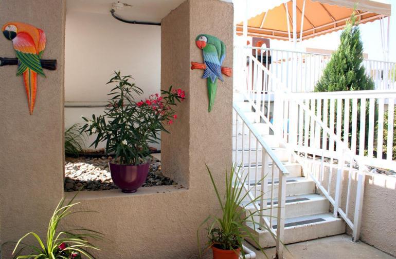 El Coronado Resort photo 33
