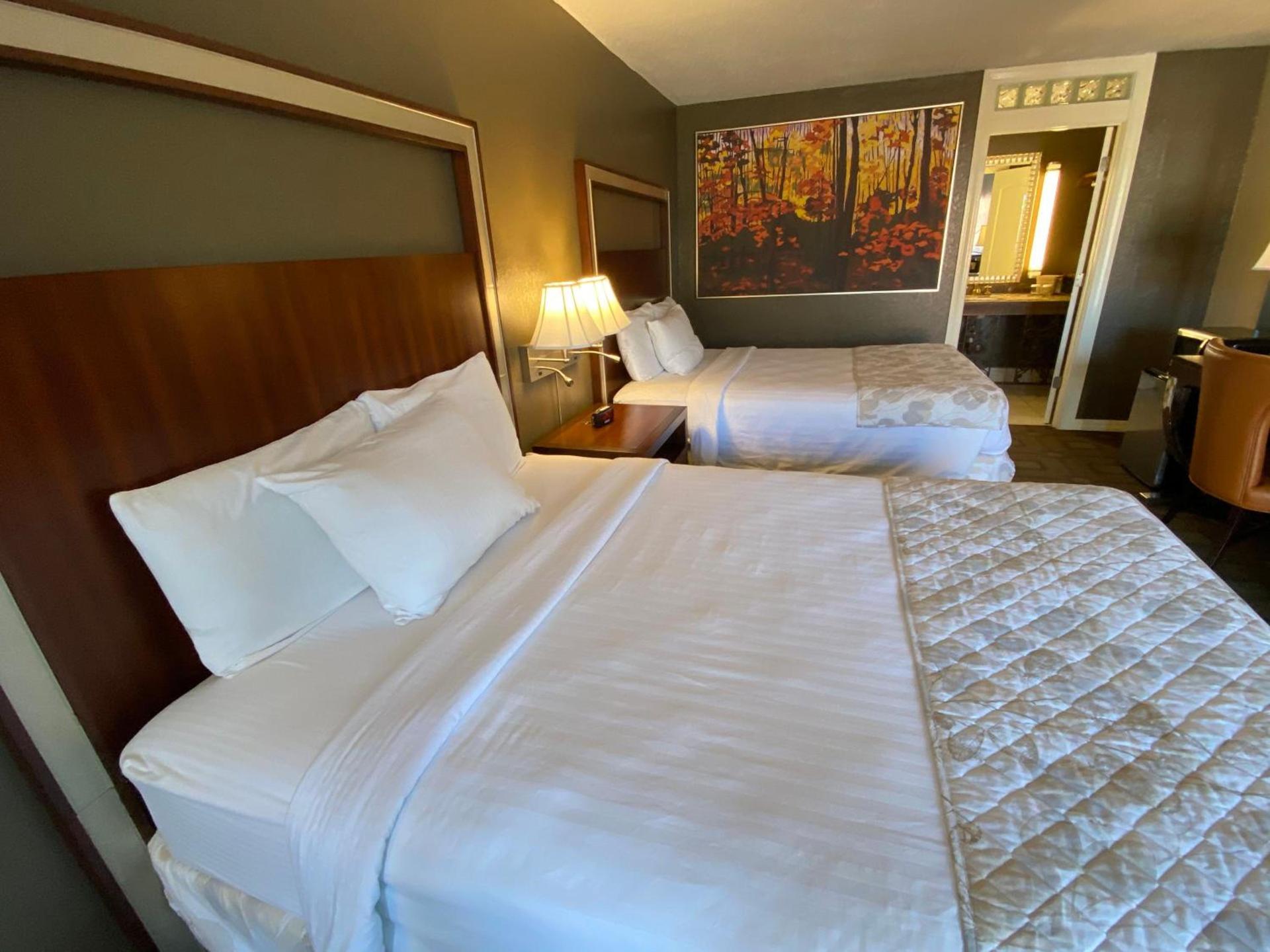 Cascades Inn photo 65