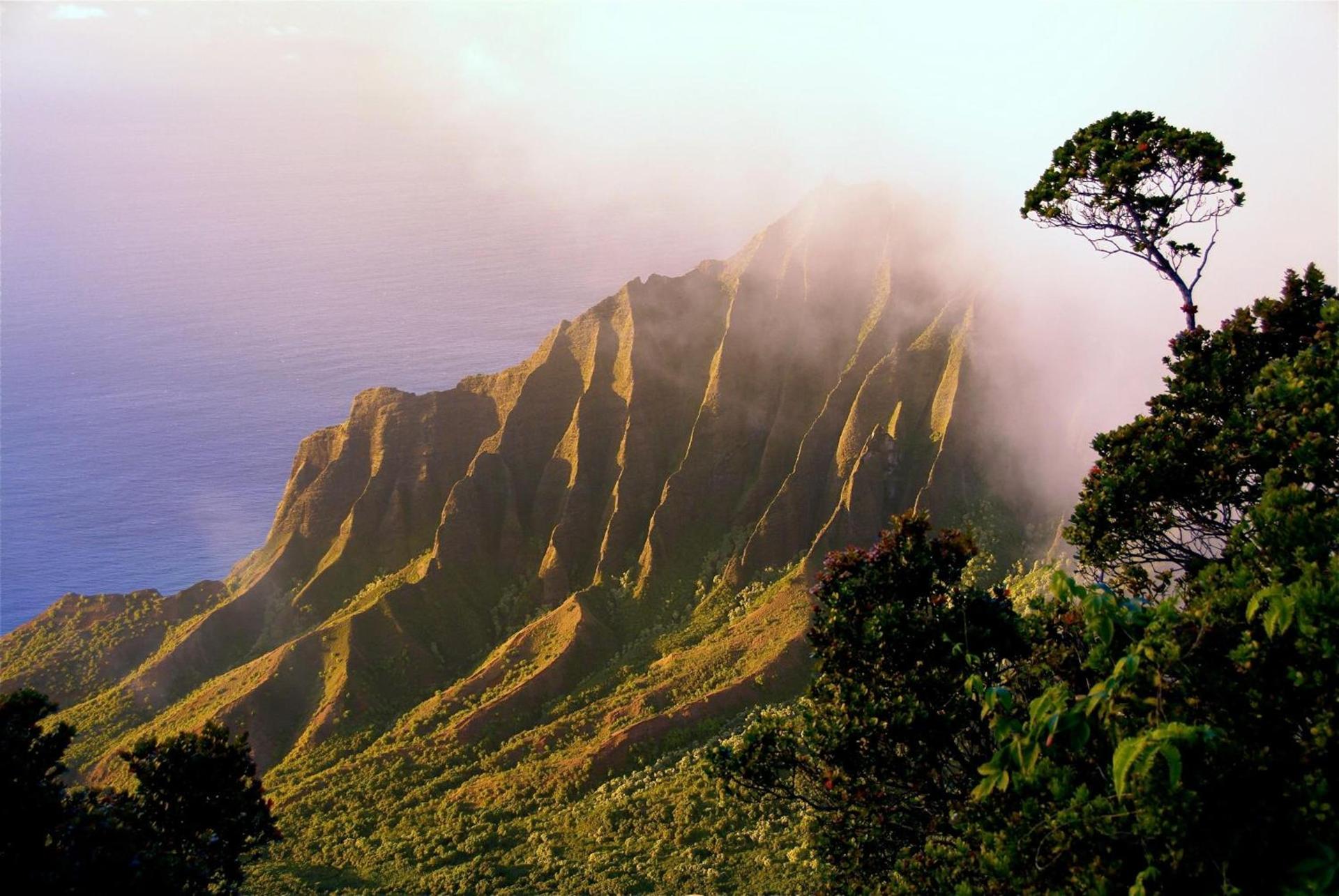 The West Inn Kauai photo 21