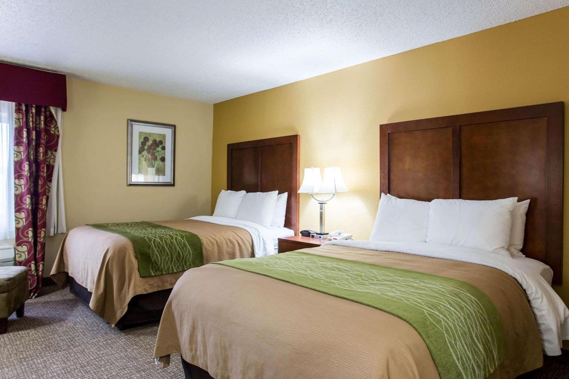 Comfort Inn Columbia West photo 8