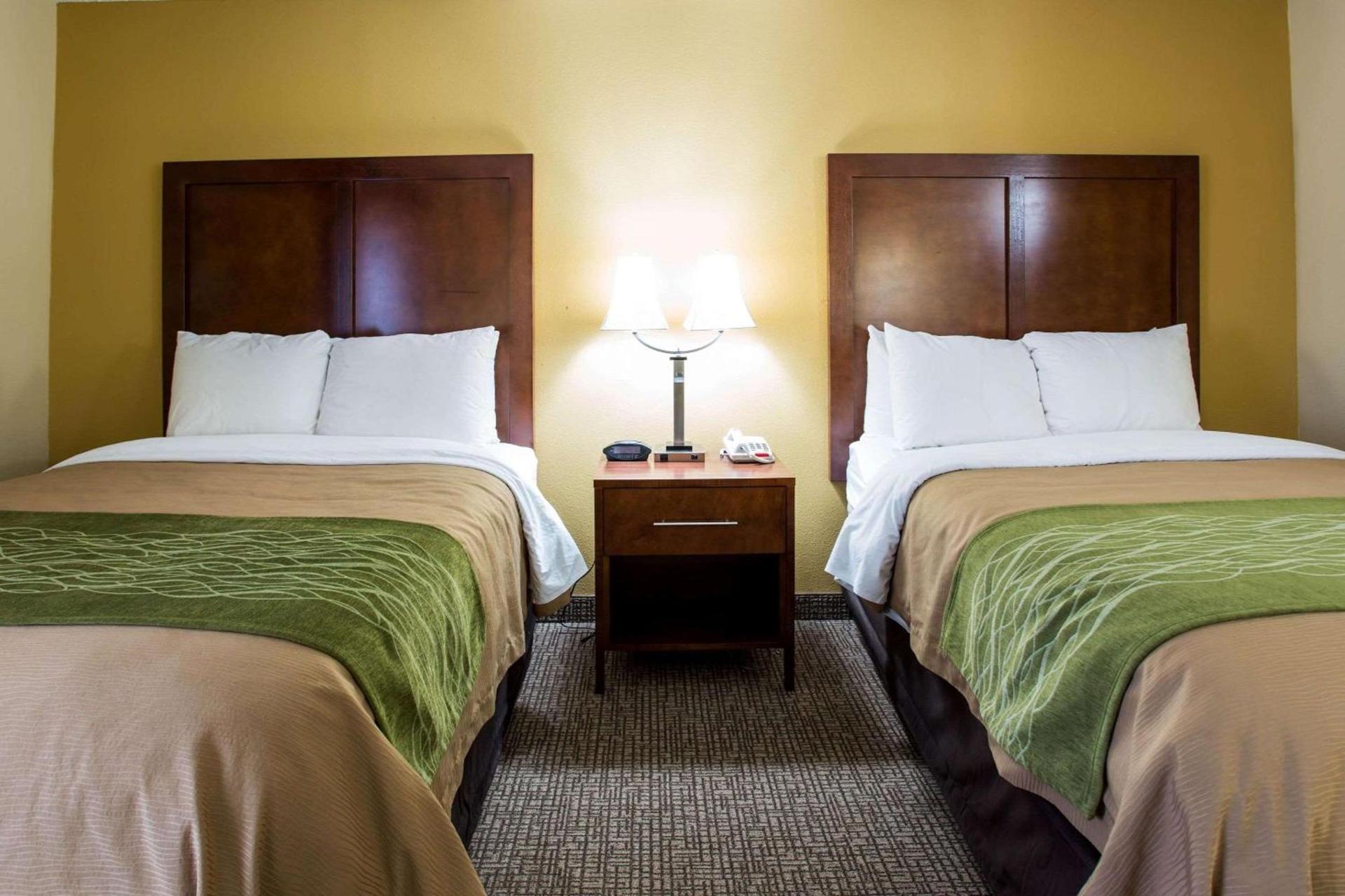 Comfort Inn Columbia West photo 18