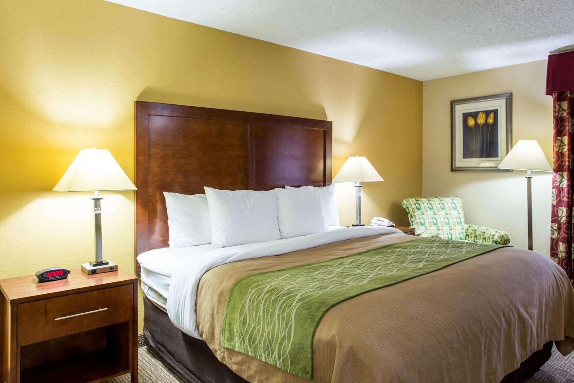 Comfort Inn Columbia West photo 30
