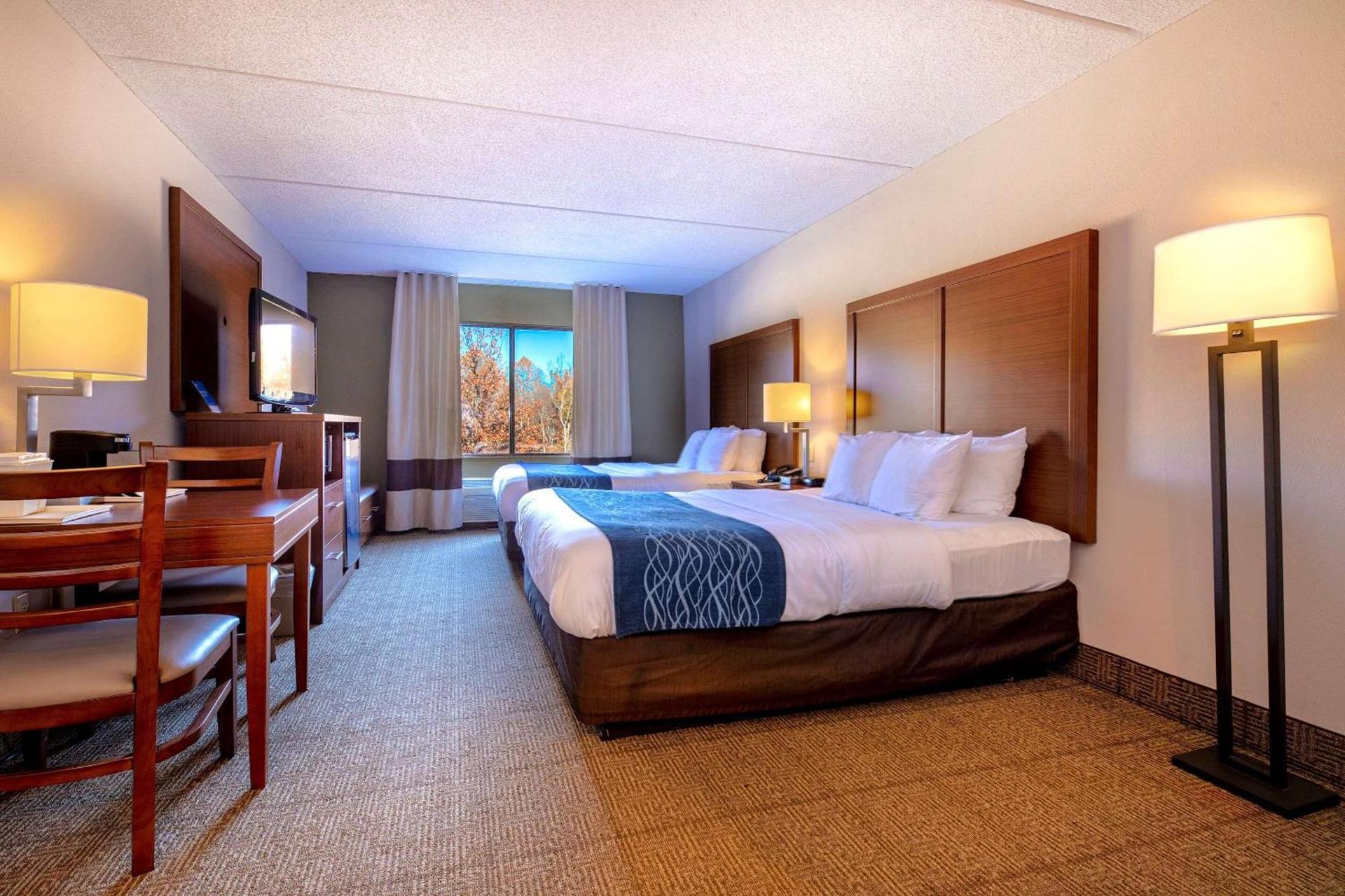 Comfort Inn Near Quantico Main Gate North photo 7