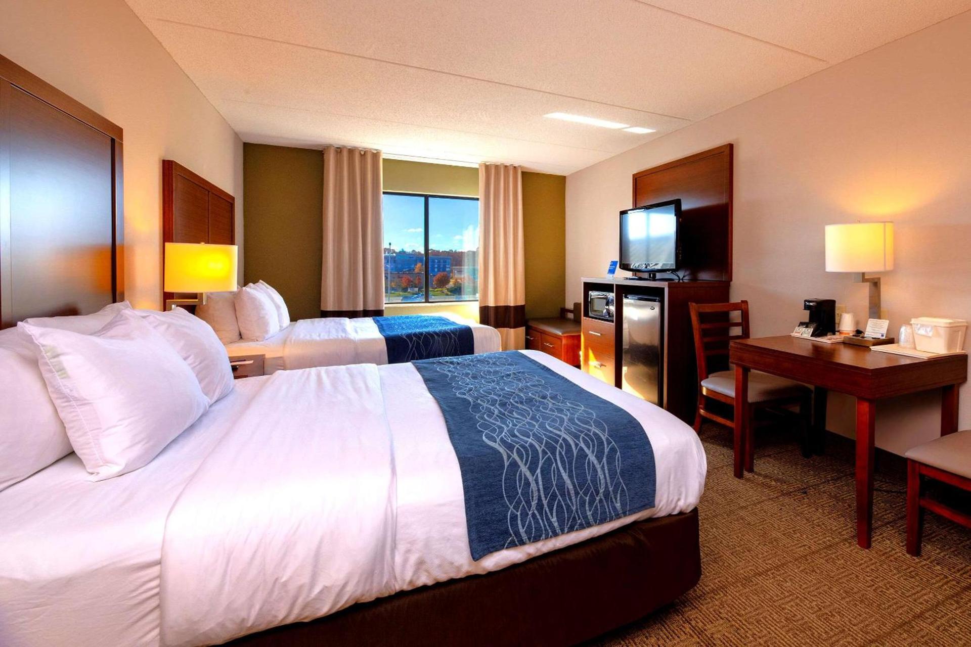 Comfort Inn Near Quantico Main Gate North photo 6