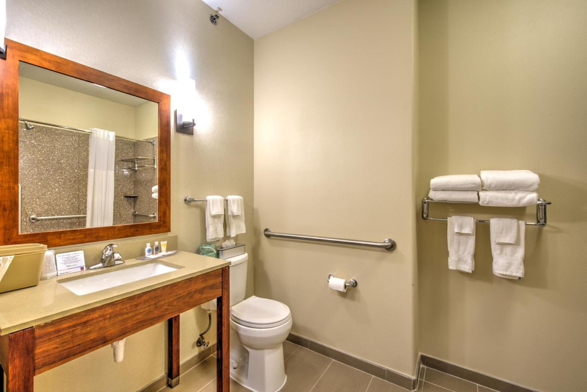 Comfort Suites Tomball Medical Center photo 37
