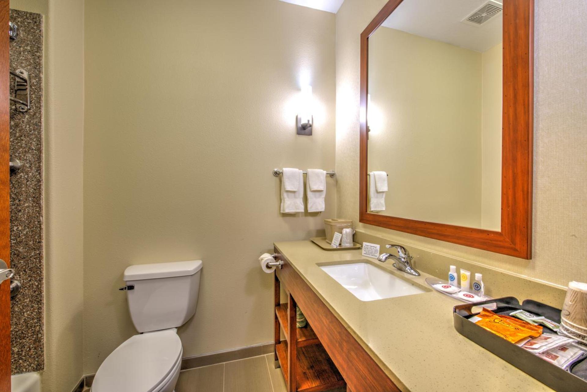Comfort Suites Tomball Medical Center photo 42