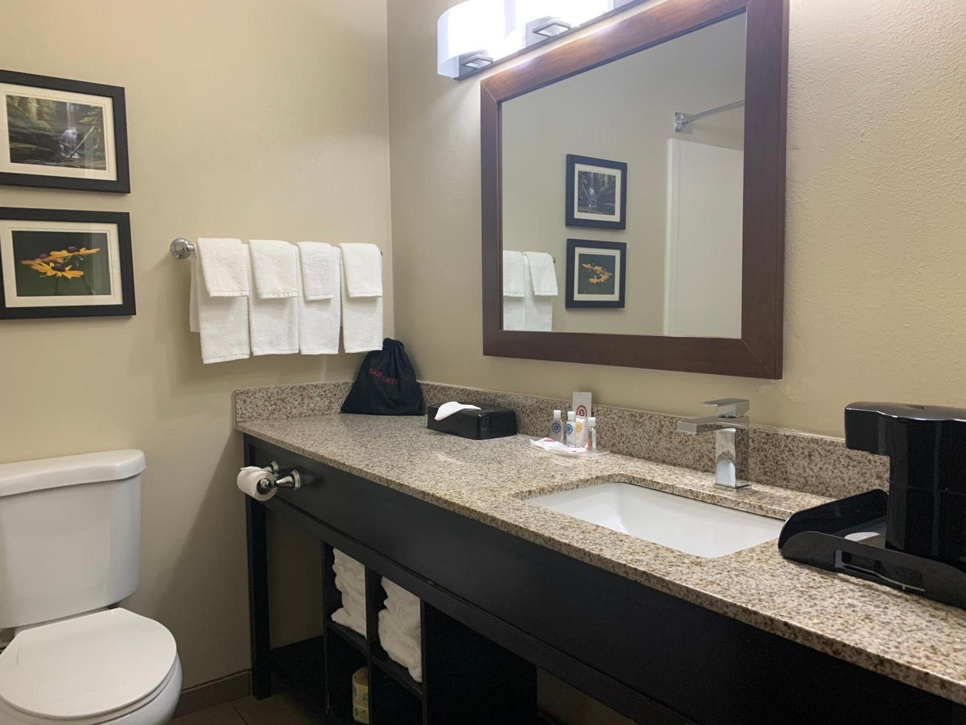 Comfort Suites Peoria I-74 photo 30
