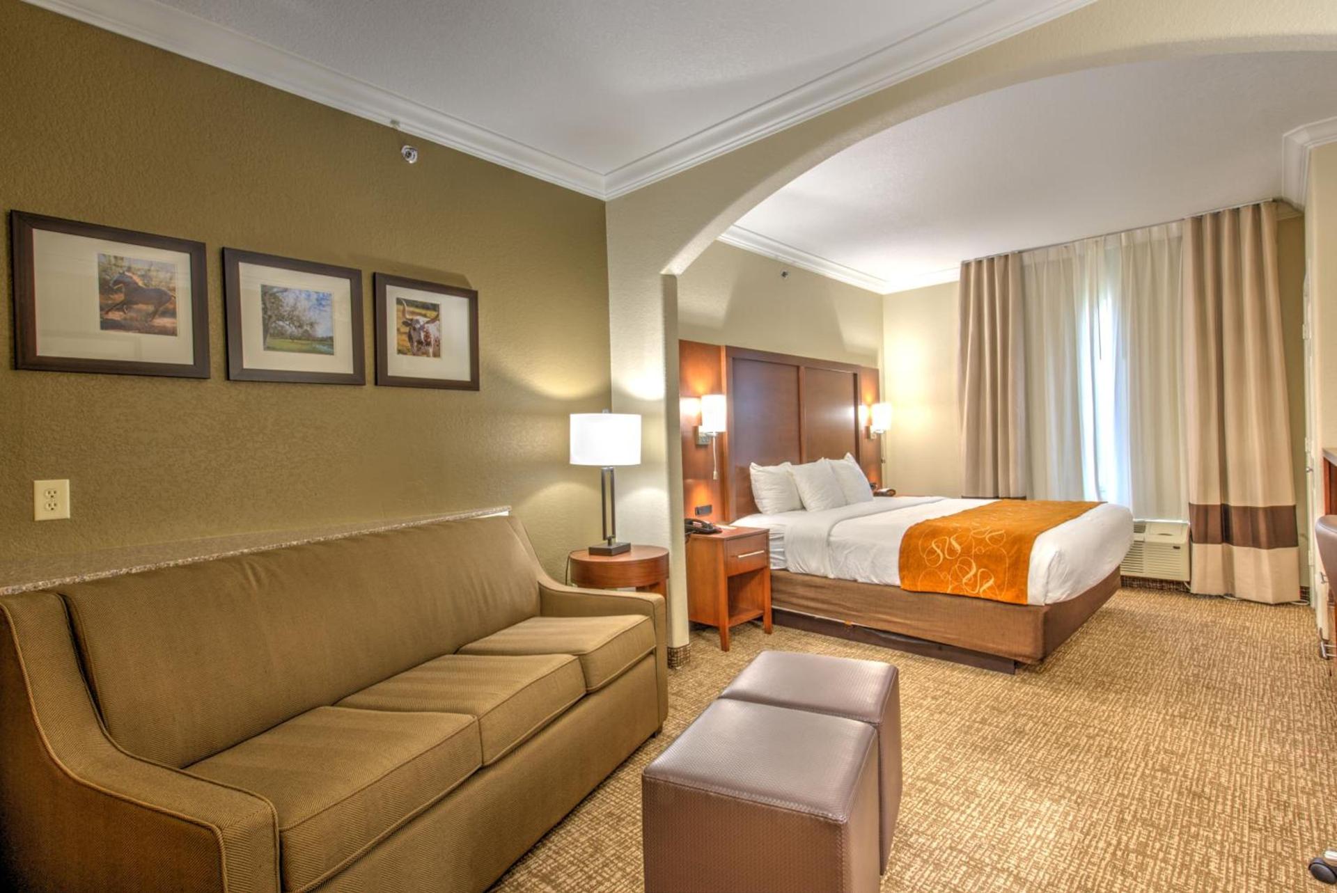 Comfort Suites Tomball Medical Center photo 54