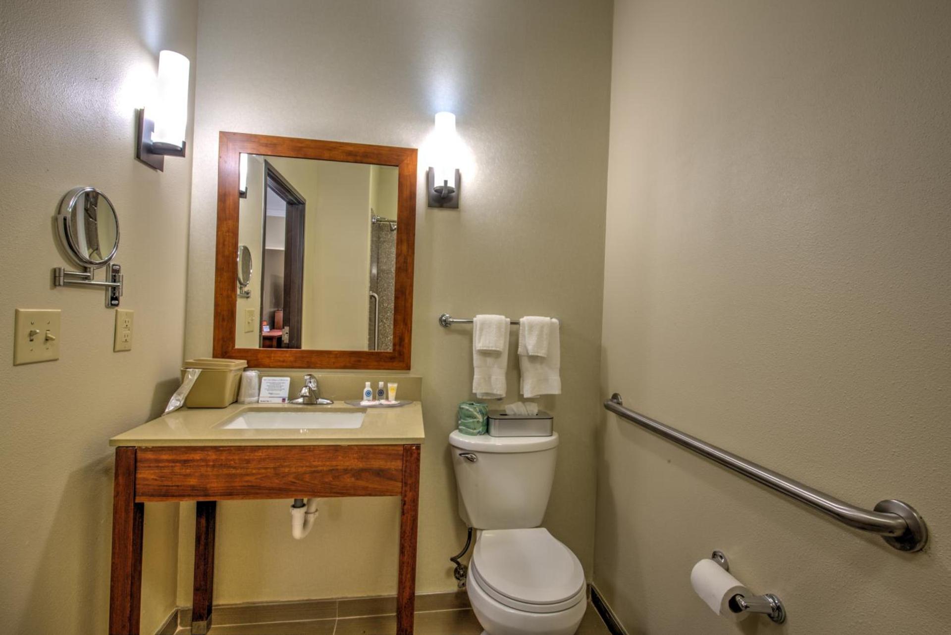 Comfort Suites Tomball Medical Center photo 55