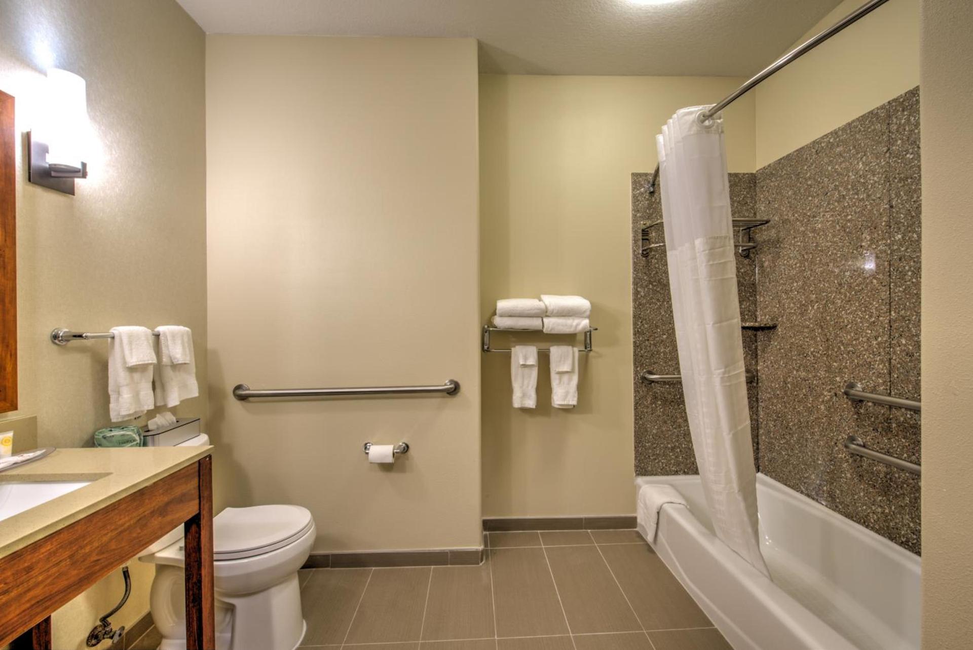 Comfort Suites Tomball Medical Center photo 56