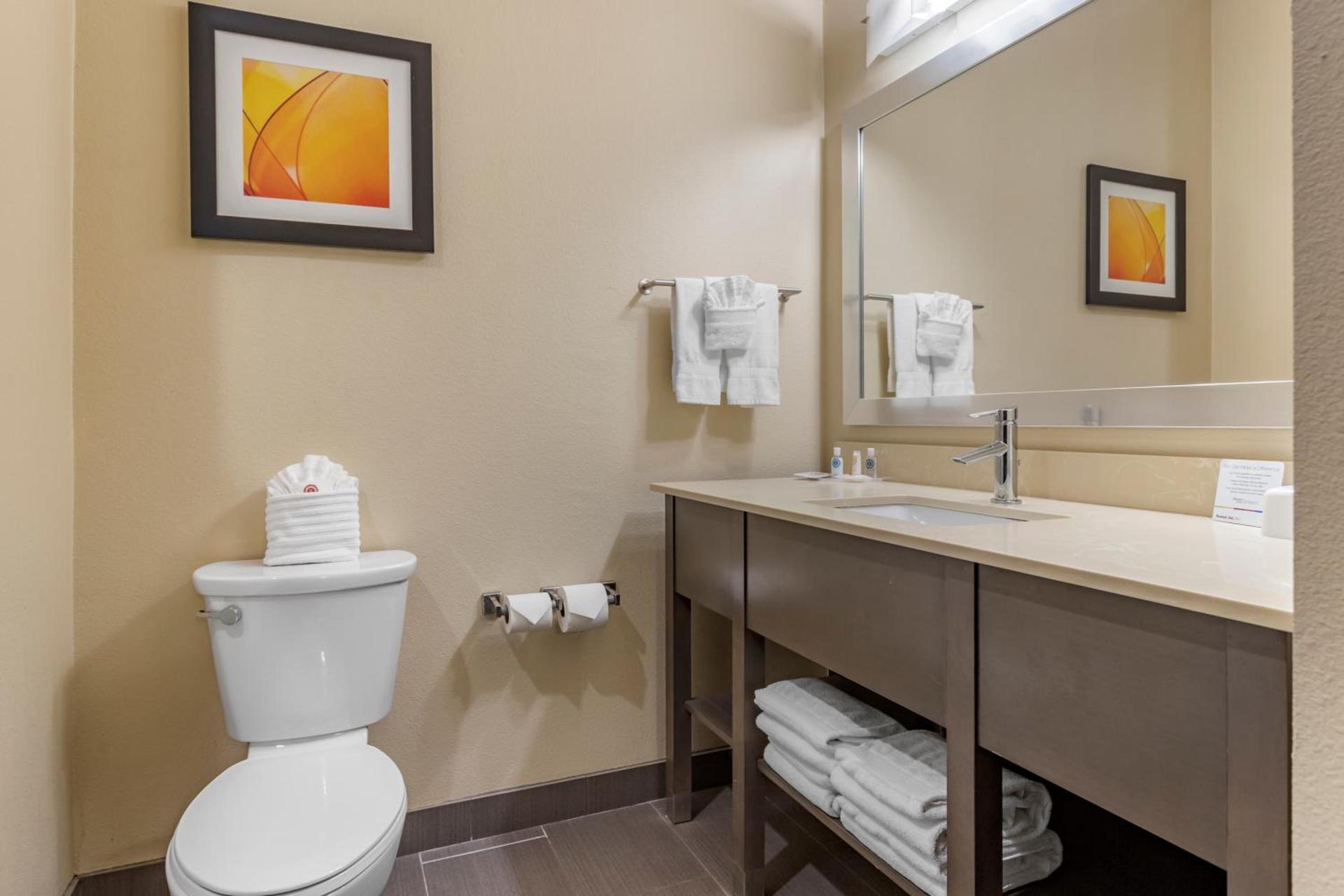 Comfort Suites Near Sam Houston Race Park photo 43