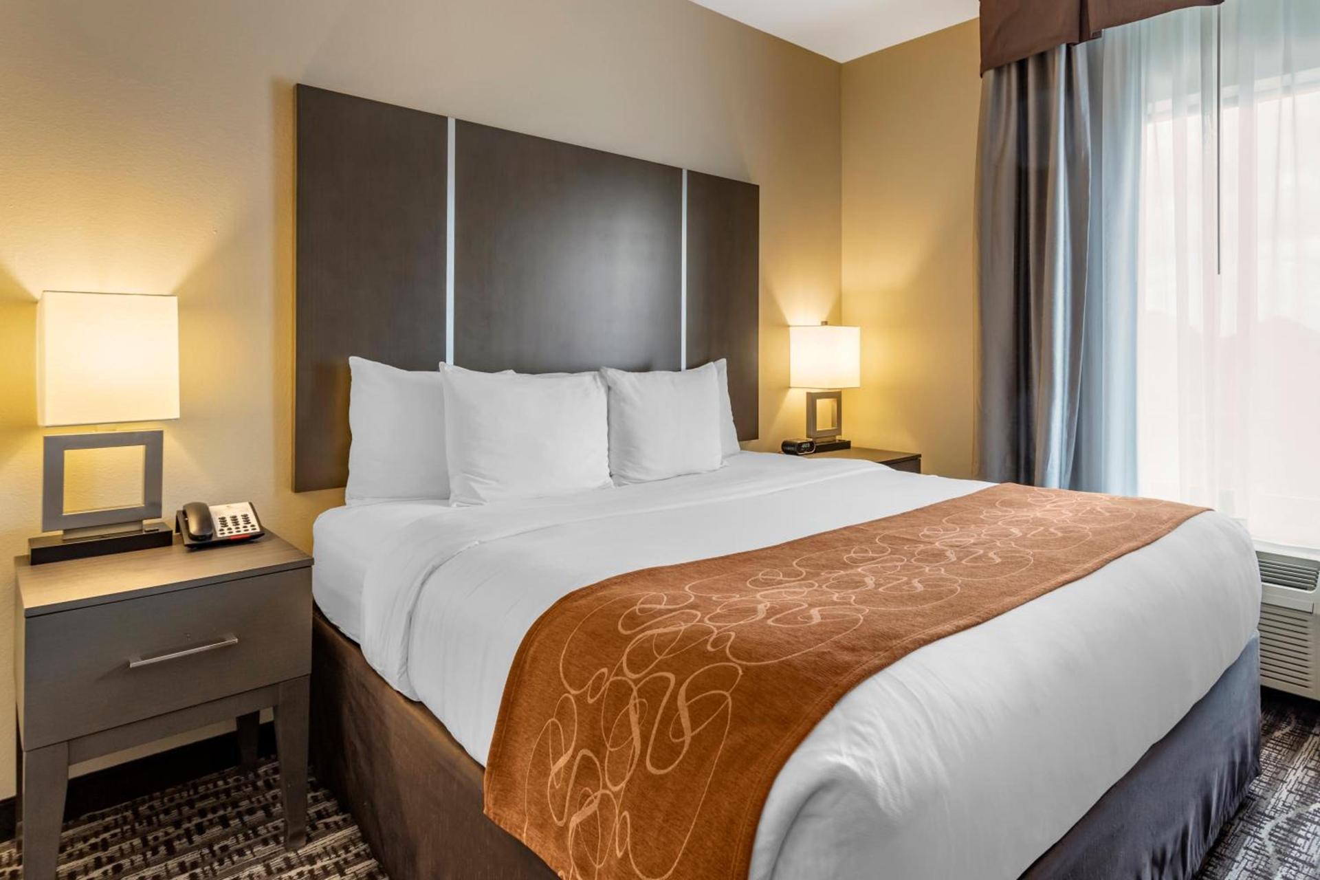 Comfort Suites Near Sam Houston Race Park photo 37