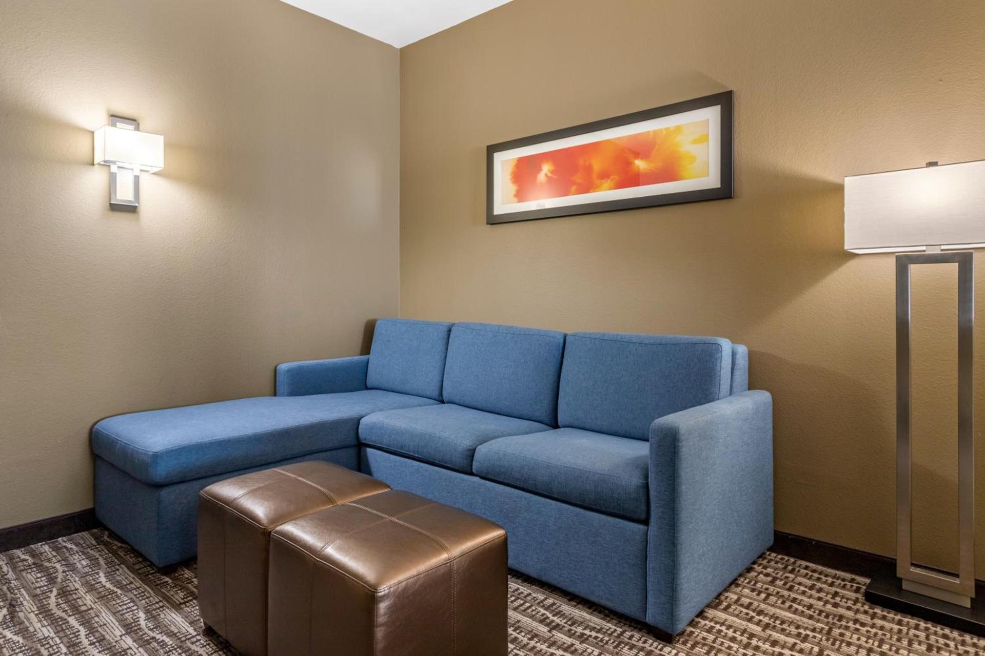 Comfort Suites Near Sam Houston Race Park photo 34