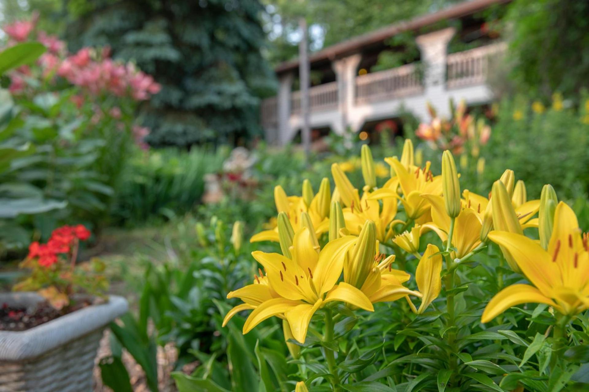 Coachlite Inn photo 79
