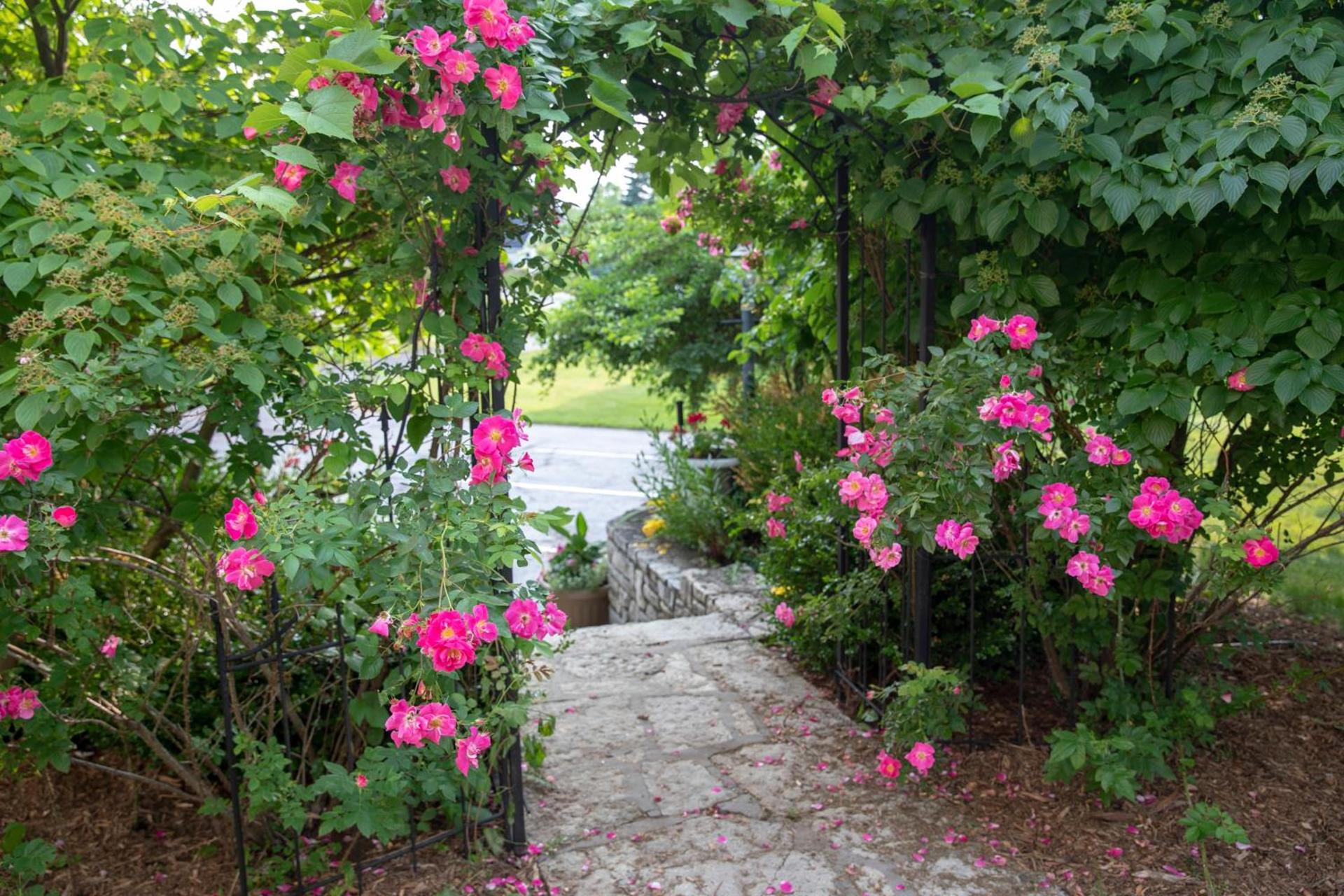 Coachlite Inn photo 62