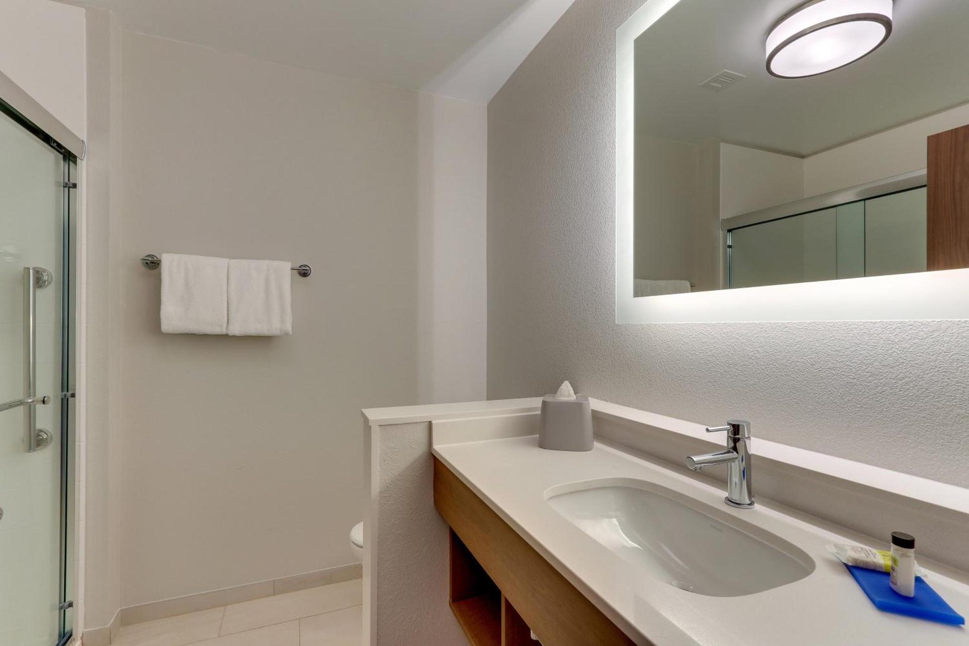 Holiday Inn Express & Suites - Roanoke – Civic Center photo 83