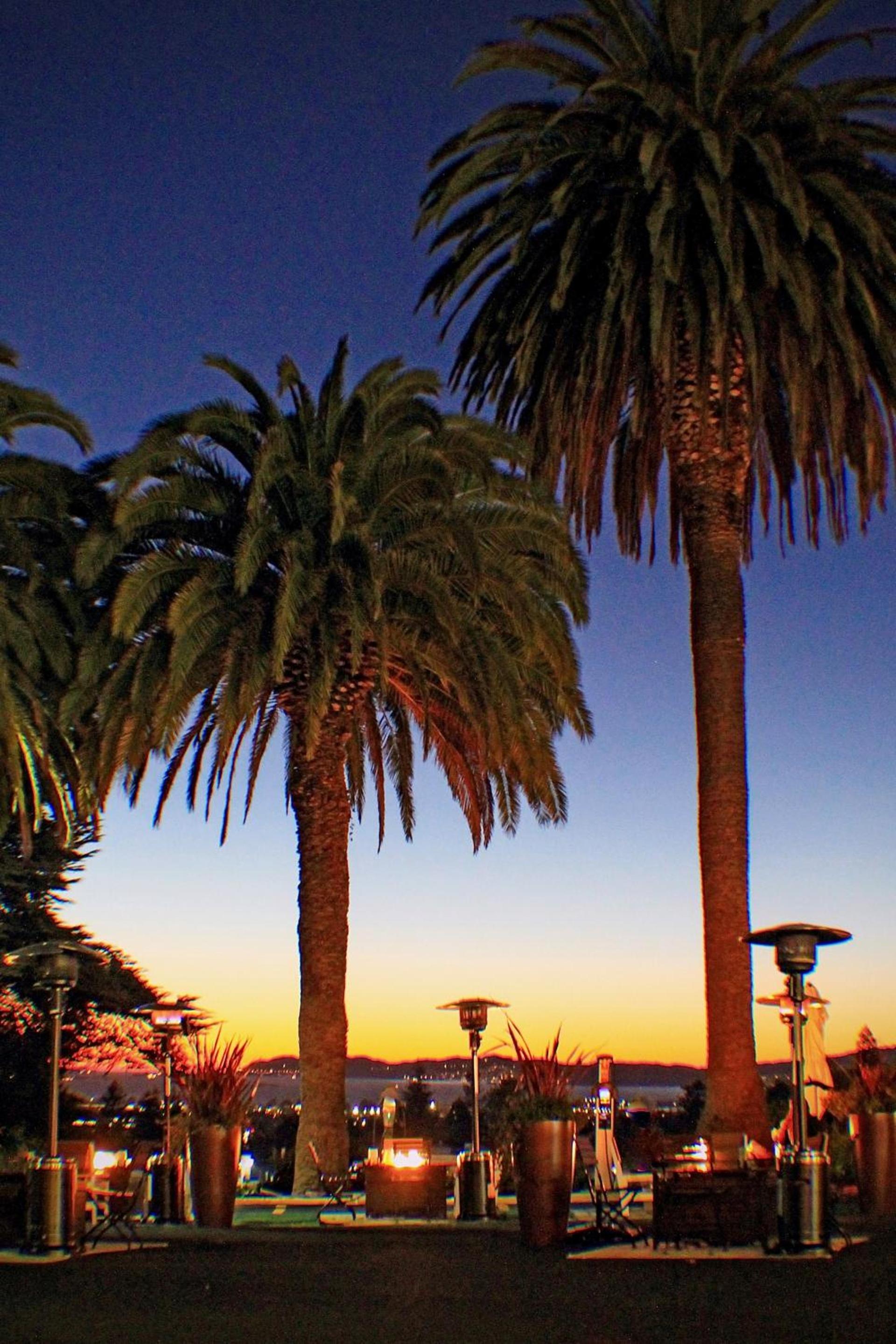 Claremont Resort & Club photo 16