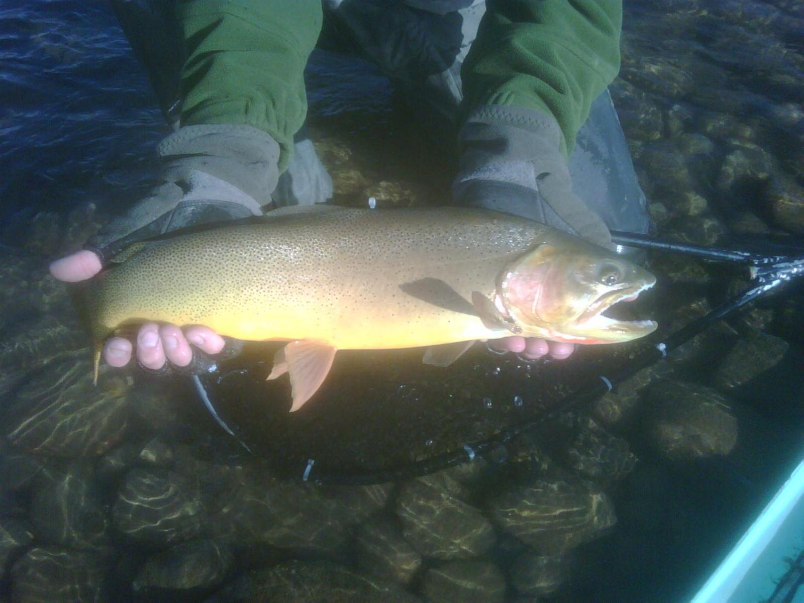 Spring Creek Ranch photo 7