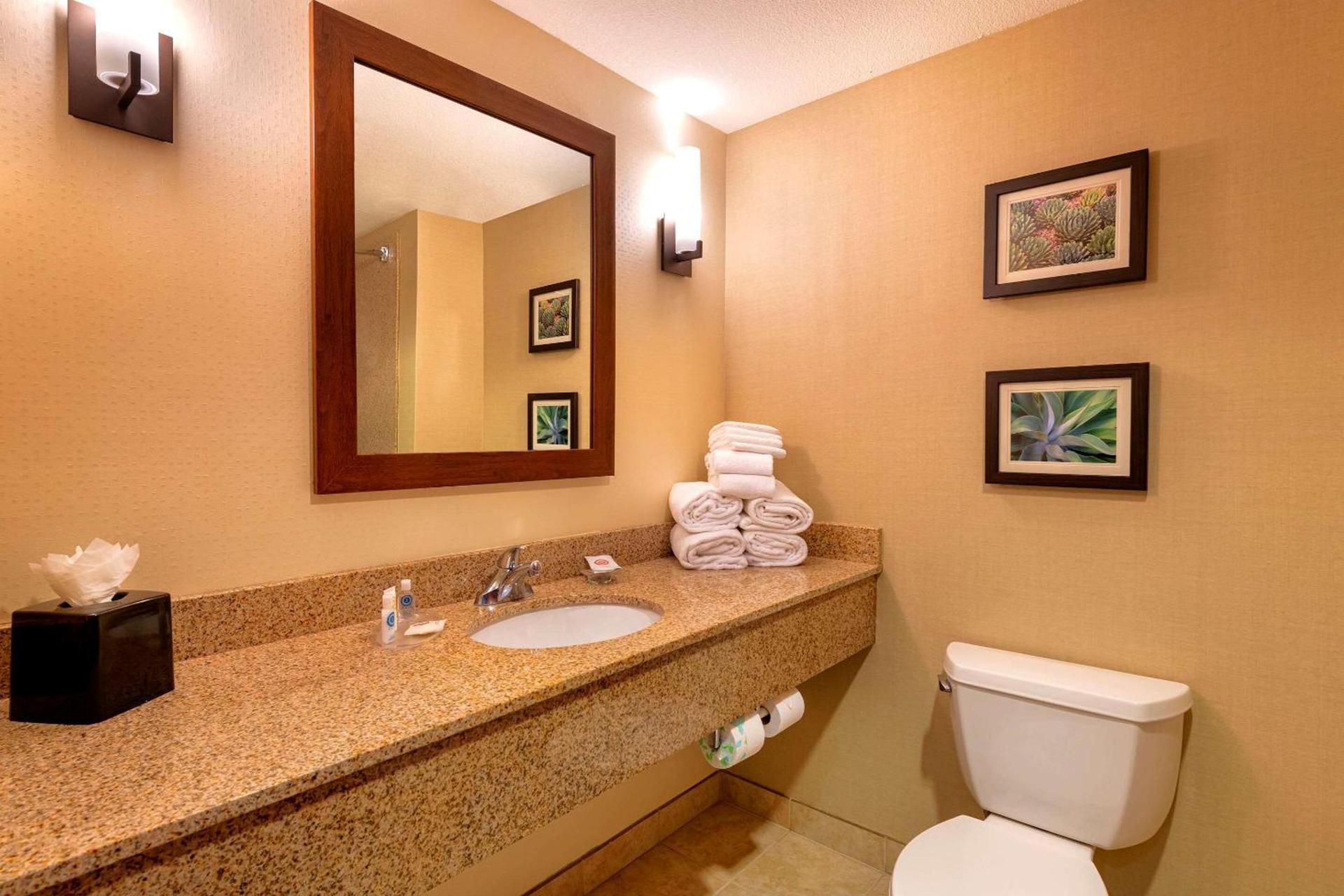 Comfort Suites Goodyear-West Phoenix photo 27