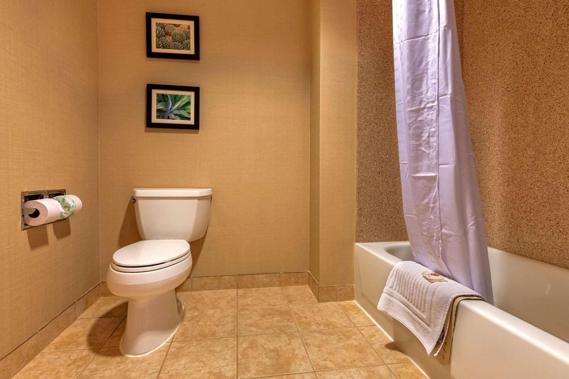 Comfort Suites Goodyear-West Phoenix photo 41