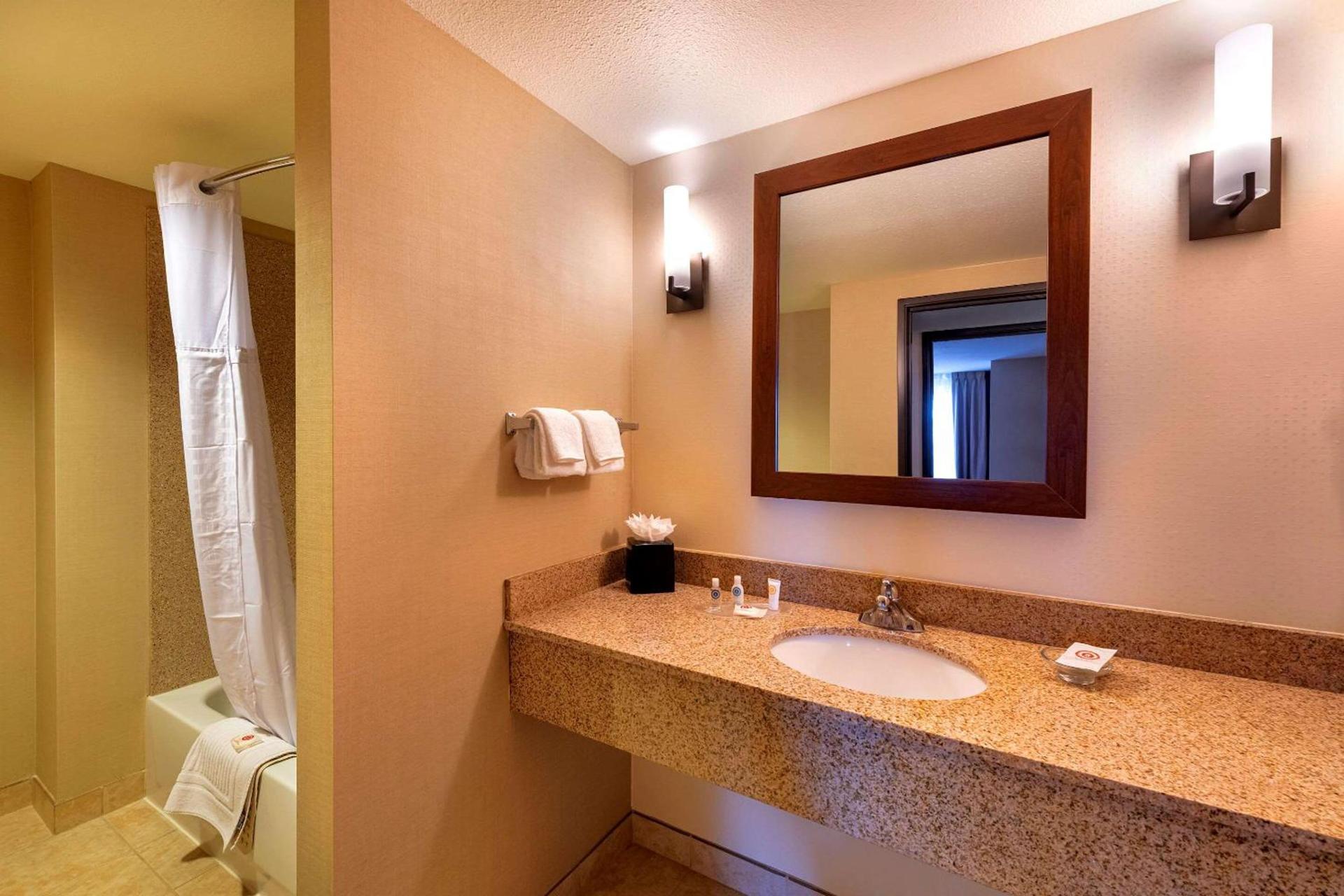 Comfort Suites Goodyear-West Phoenix photo 42