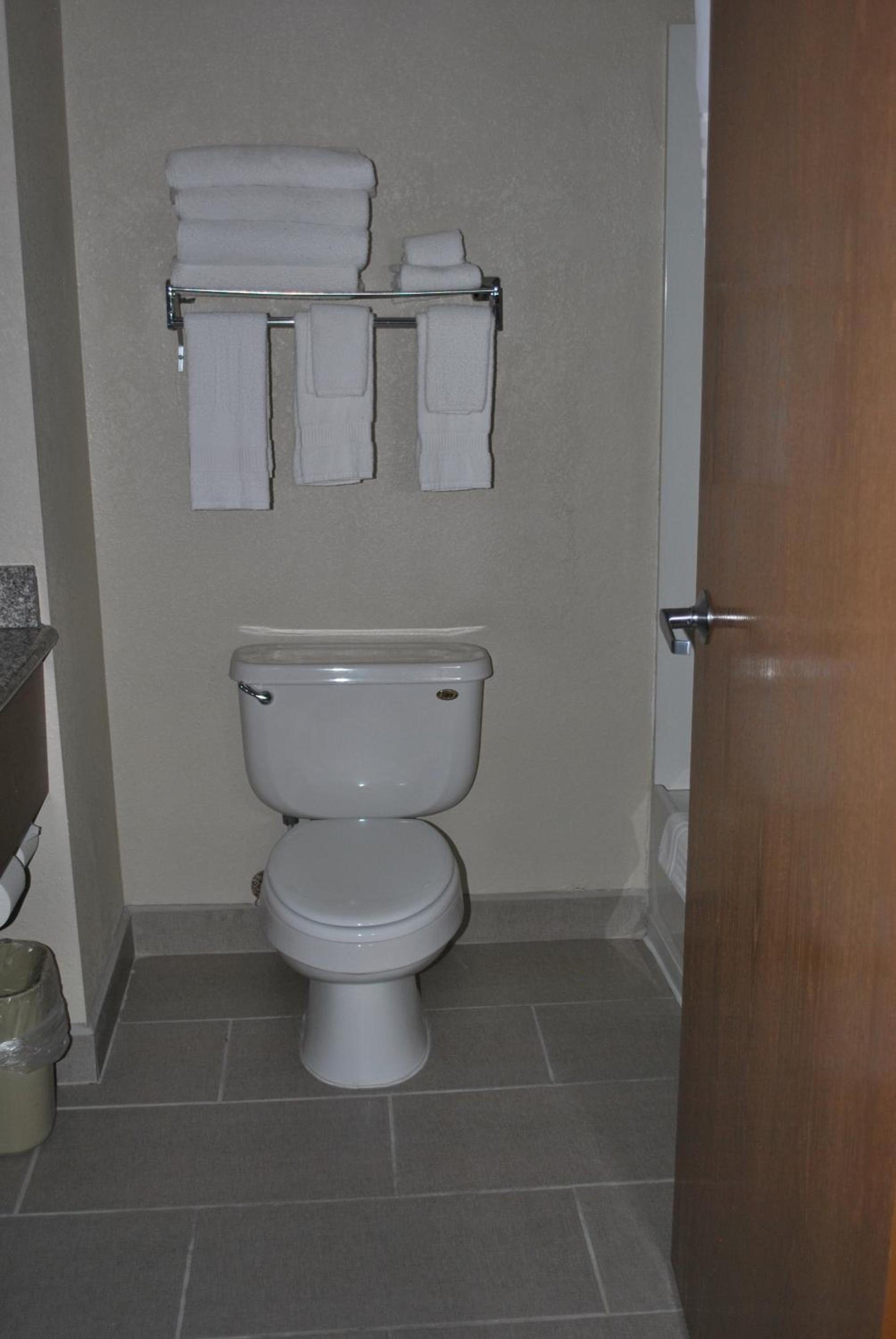Comfort Inn & Suites Midtown photo 57