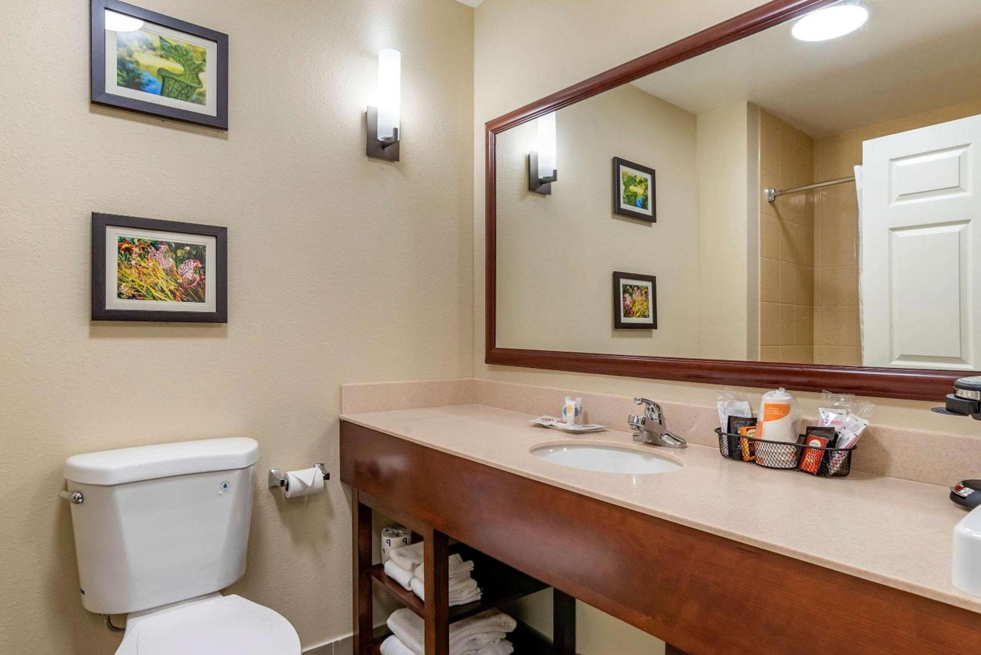 Comfort Suites Niceville Near Eglin Air Force Base photo 29