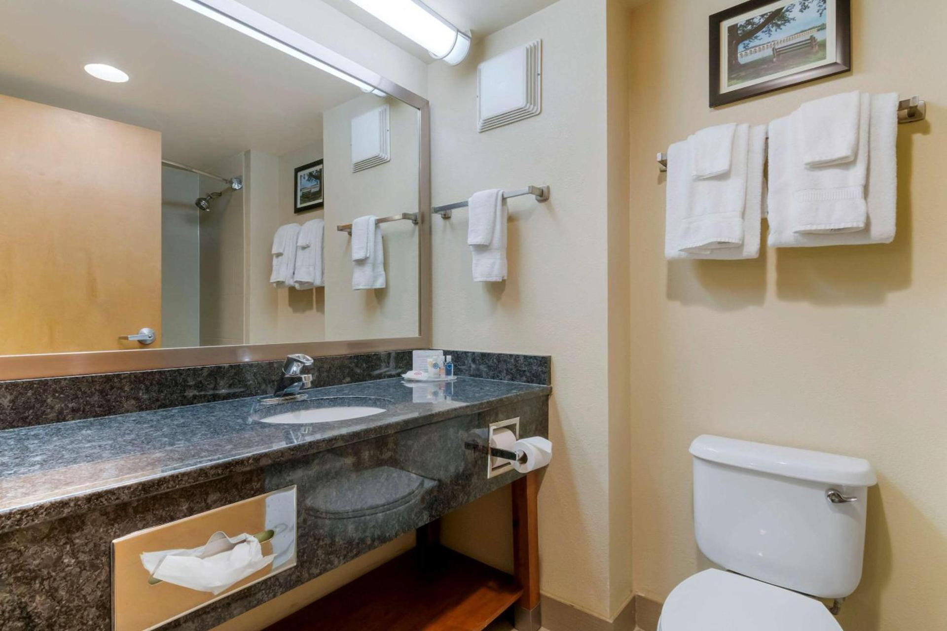 Comfort Inn Mechanicsburg - Harrisburg South photo 17
