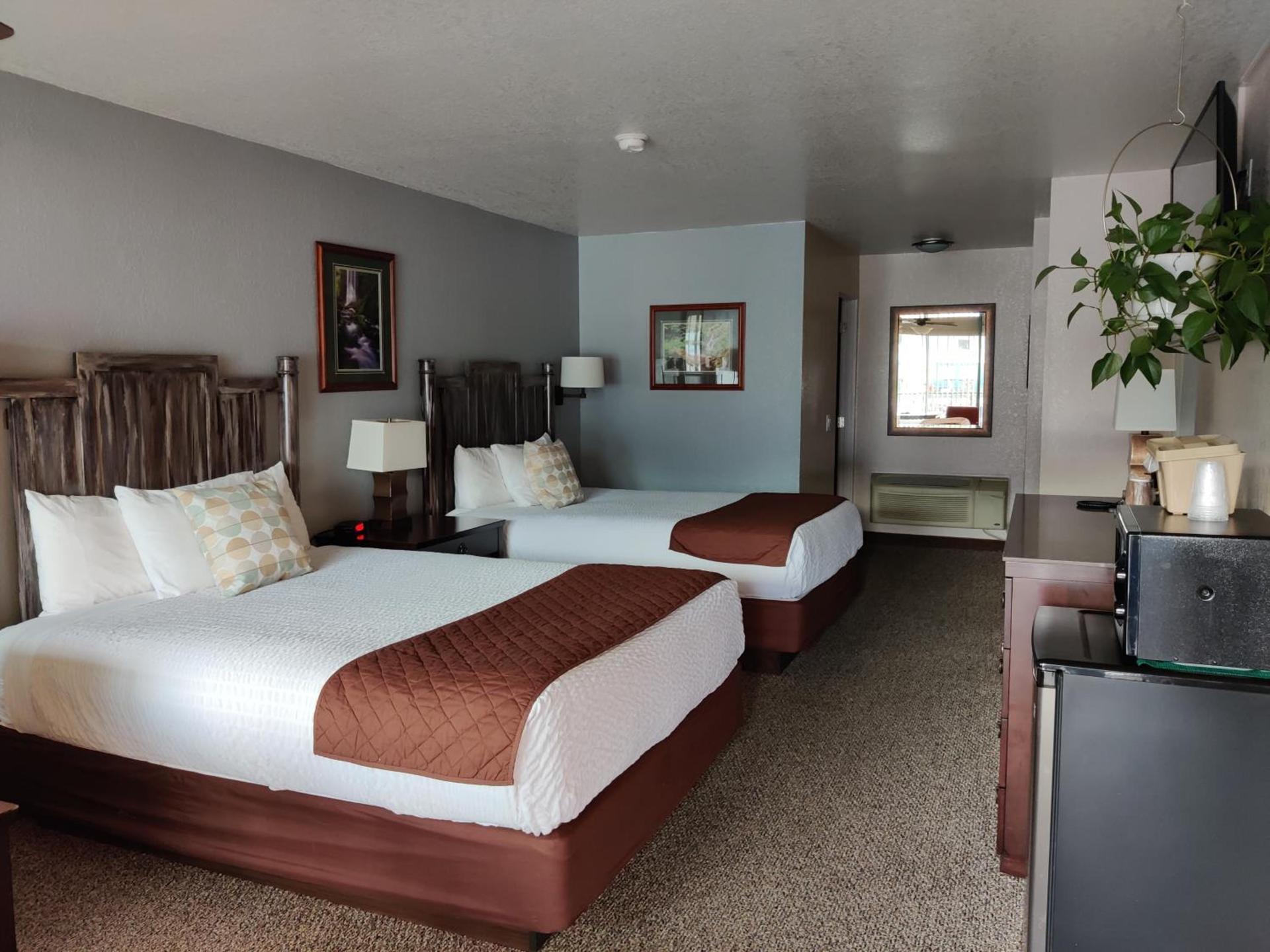 Mountain View Lodge photo 12