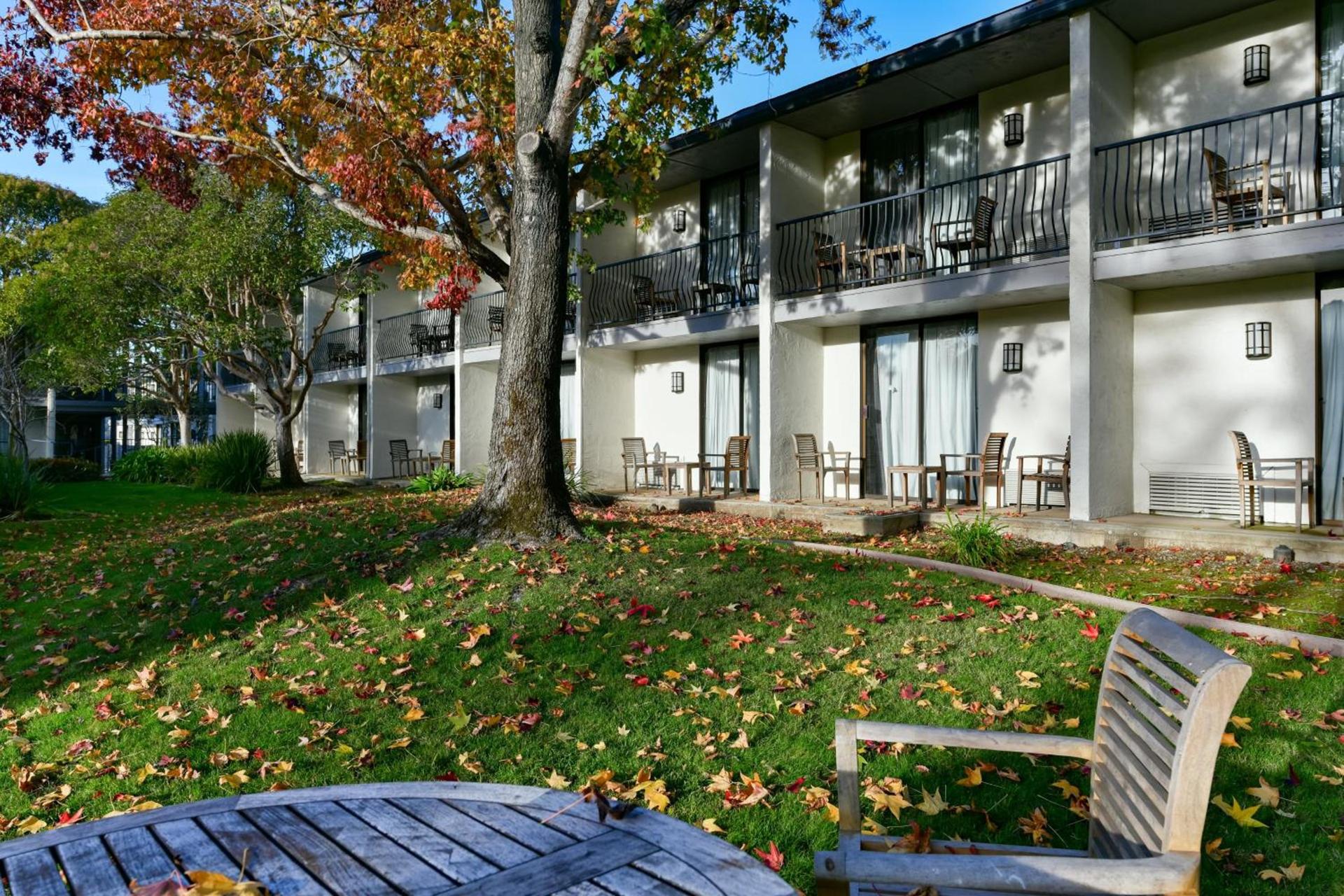 Holiday Inn Express Mill Valley San Francisco Area by IHG photo 26