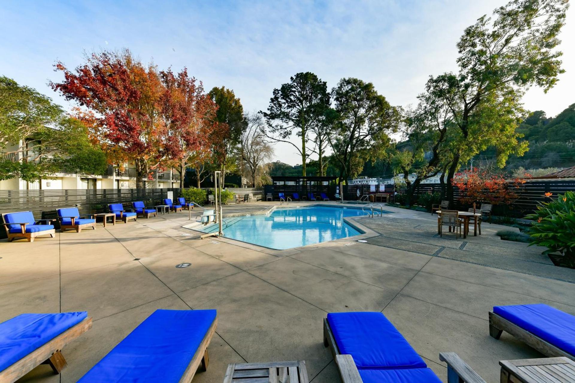 Holiday Inn Express Mill Valley San Francisco Area by IHG photo 41