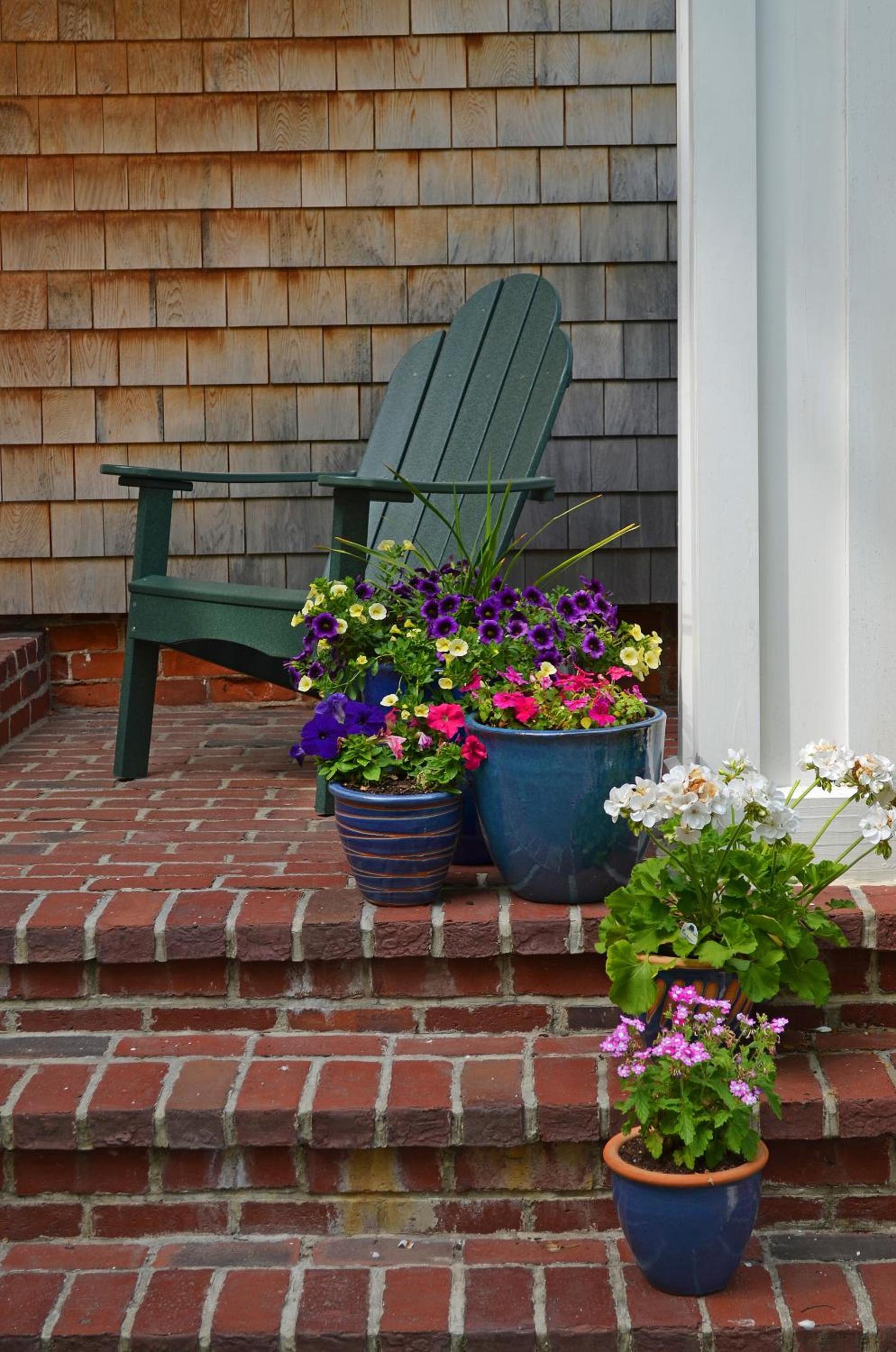 Edgartown Commons photo 6