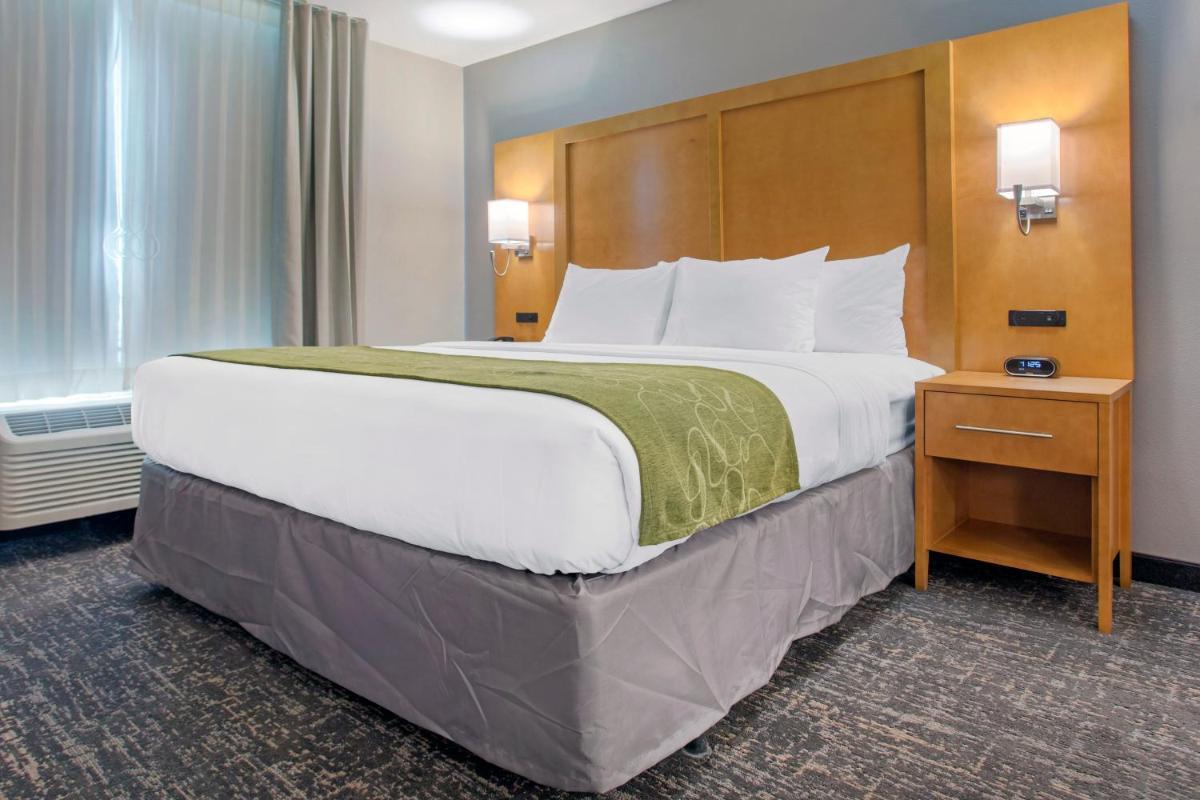 Comfort Suites North Charleston - Ashley Phosphate photo 21