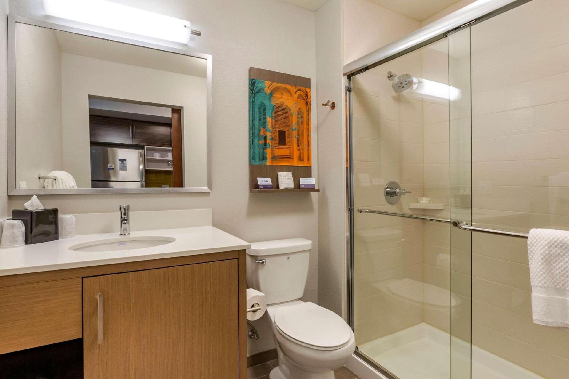 MainStay Suites Carlsbad South photo 8