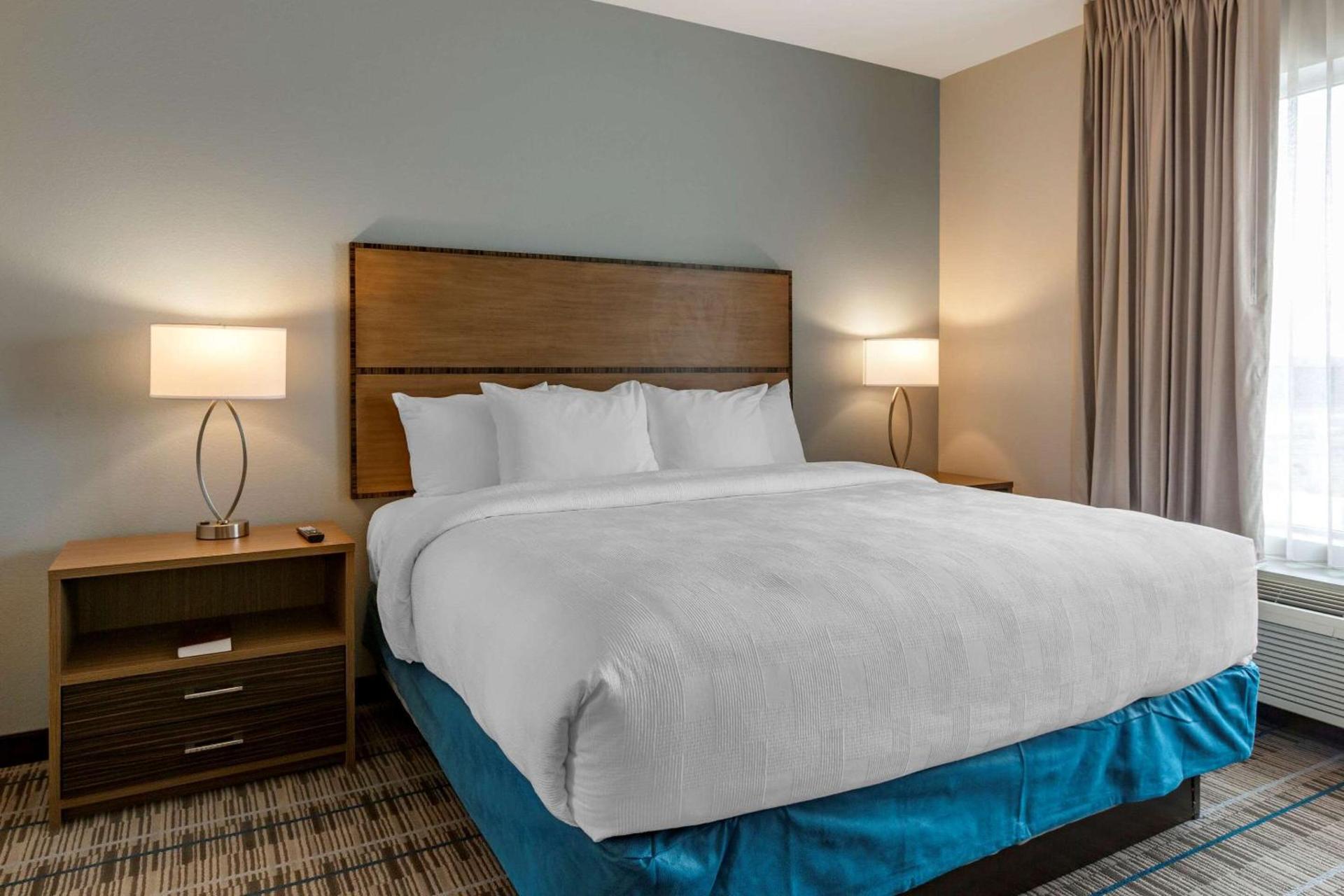 MainStay Suites Carlsbad South photo 11