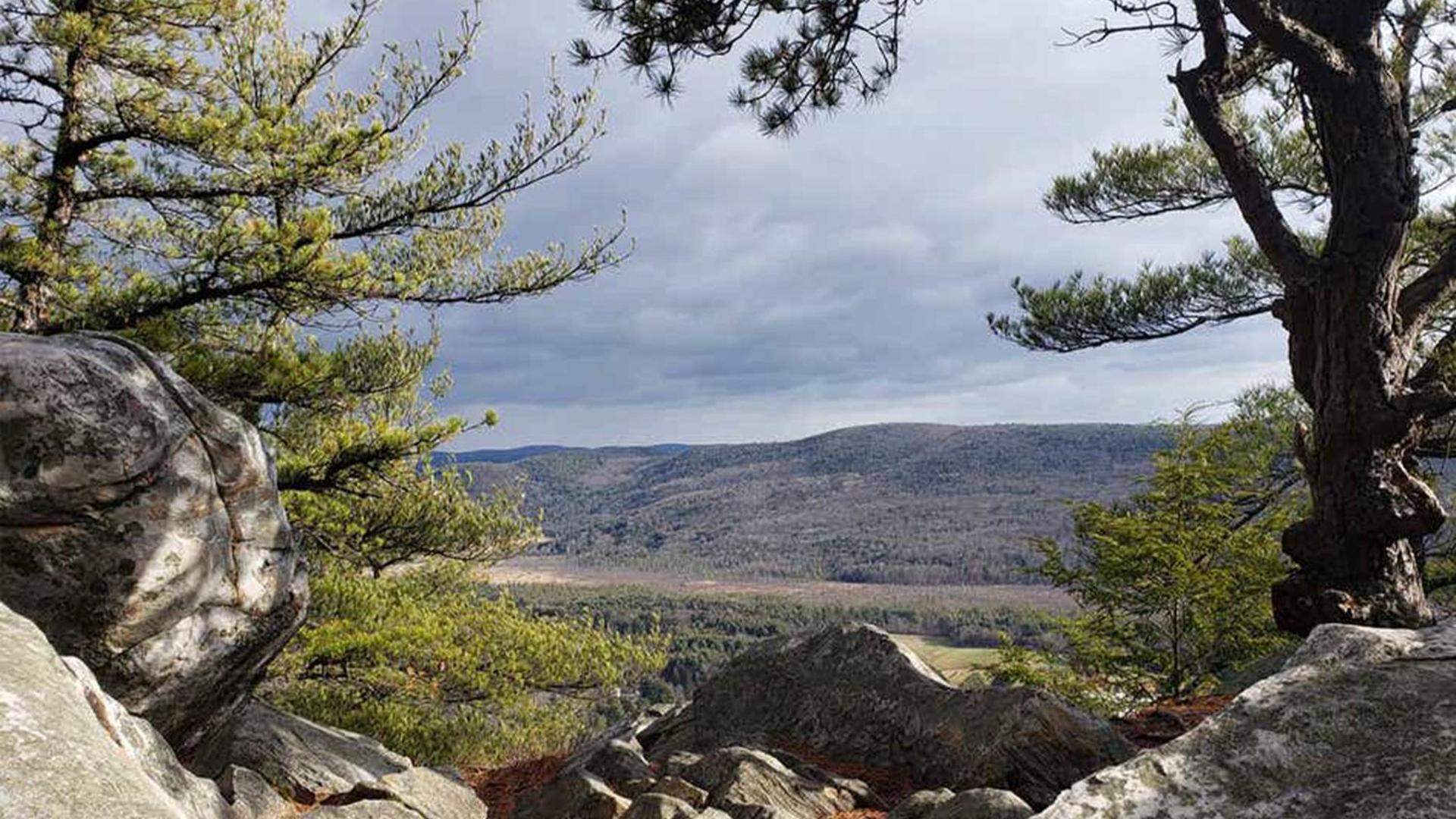 Holiday Inn Club Vacations Oak n Spruce Resort in the Berkshires photo 21