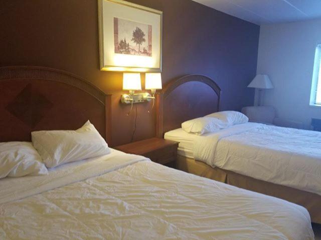 Red Apple Inn photo 9