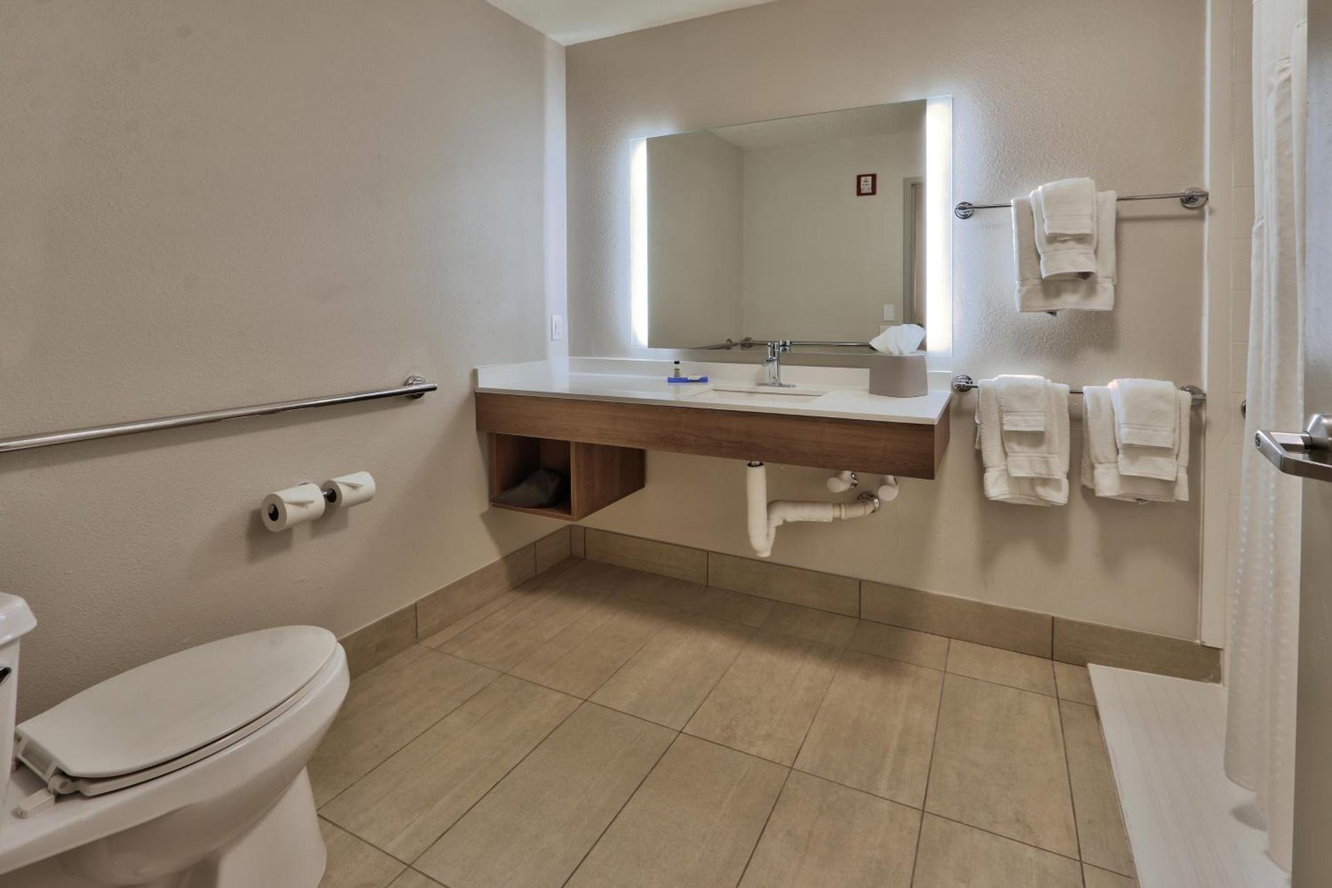 Holiday Inn Express Socorro by IHG photo 7